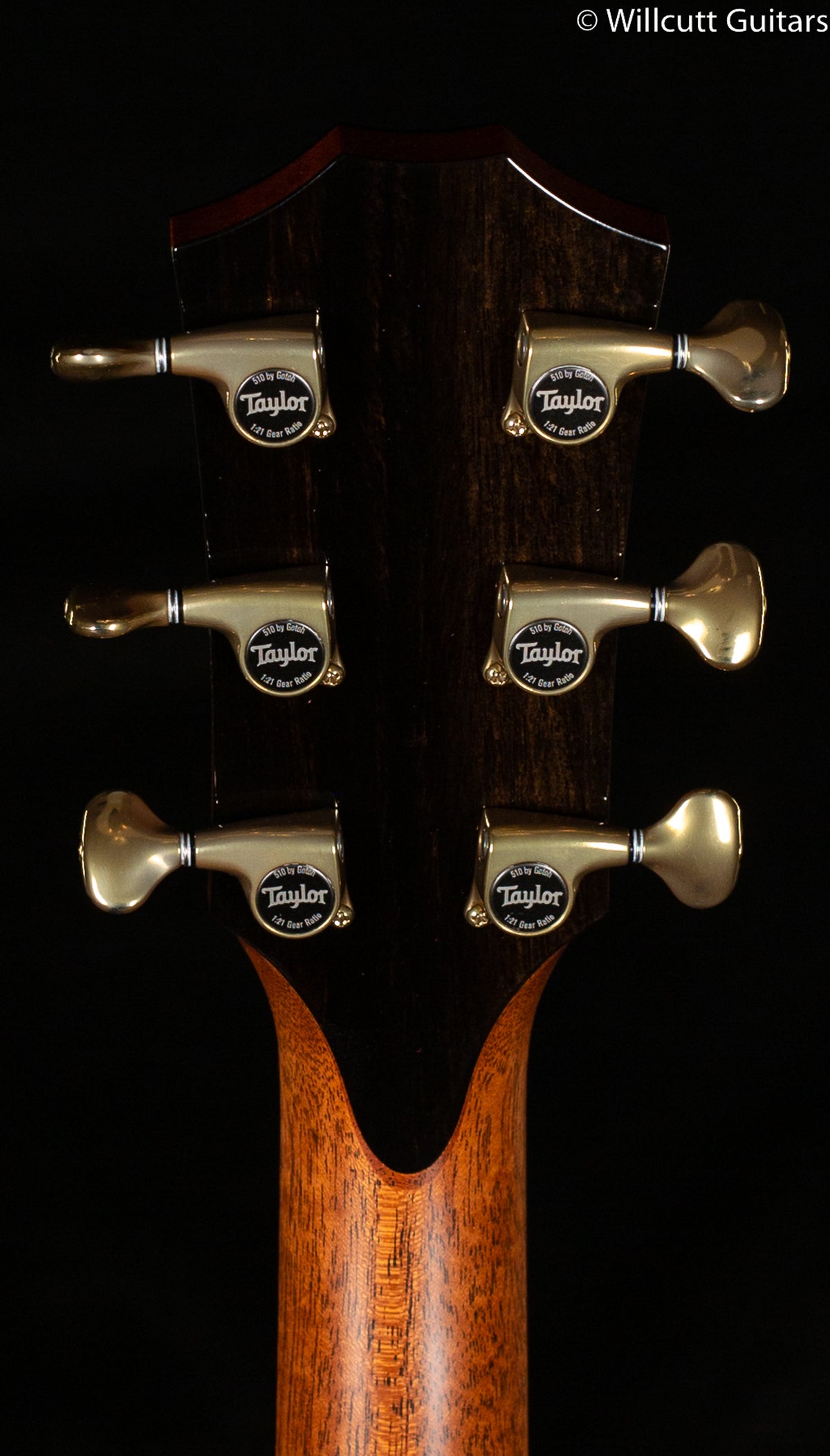 Taylor PS14ce Honduran Rosewood/Sinker Redwood V-Class (186)