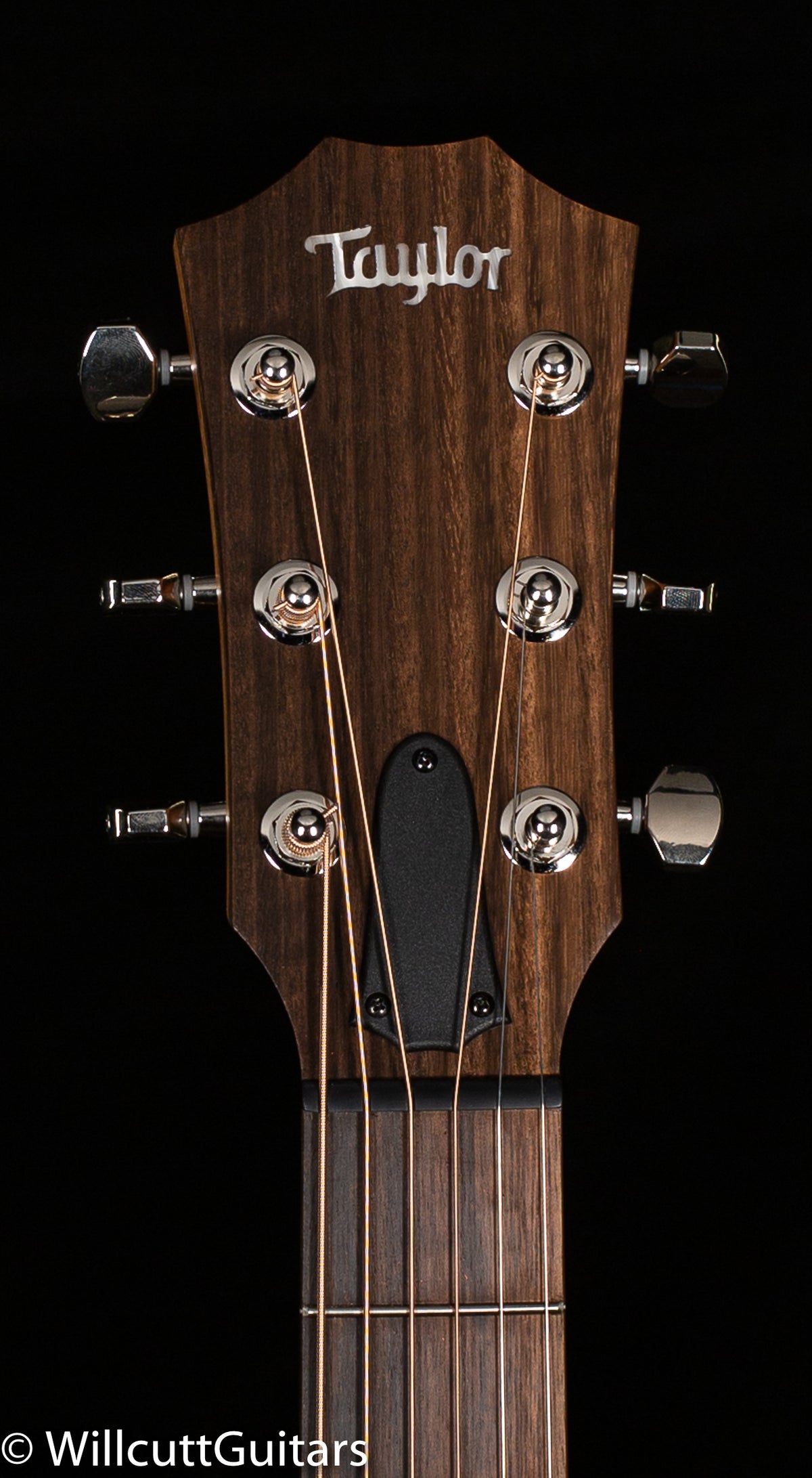 Taylor GT Grand Theater Urban Ash (008)