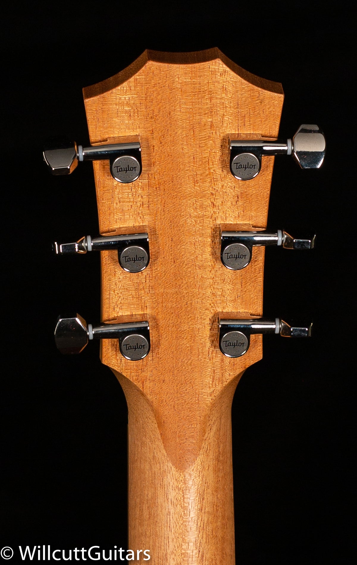 Taylor GT Grand Theater Urban Ash (008)