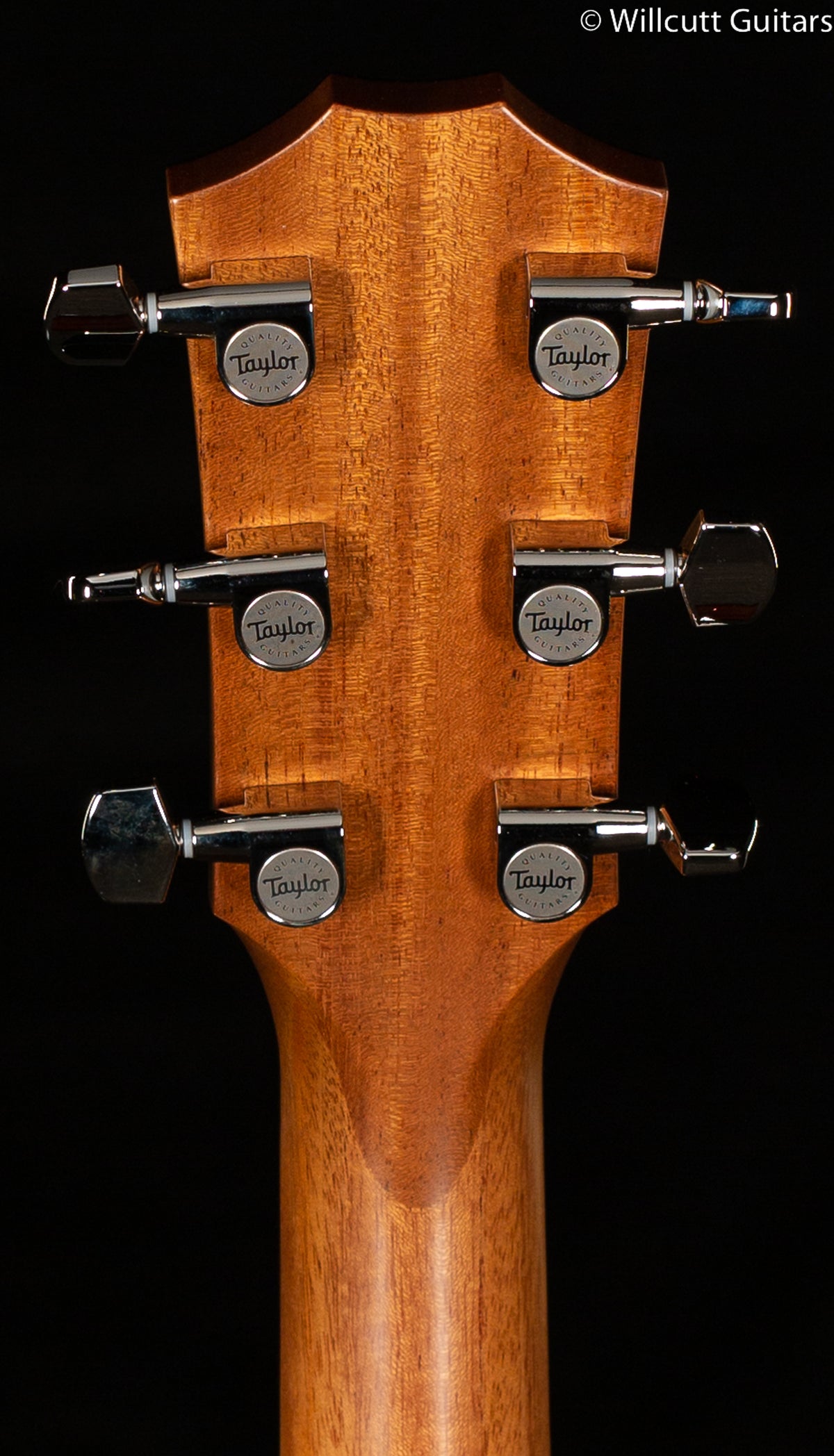 Taylor 514ce Grand Auditorium Urban Ironbark/Torrefied Sitka (158)