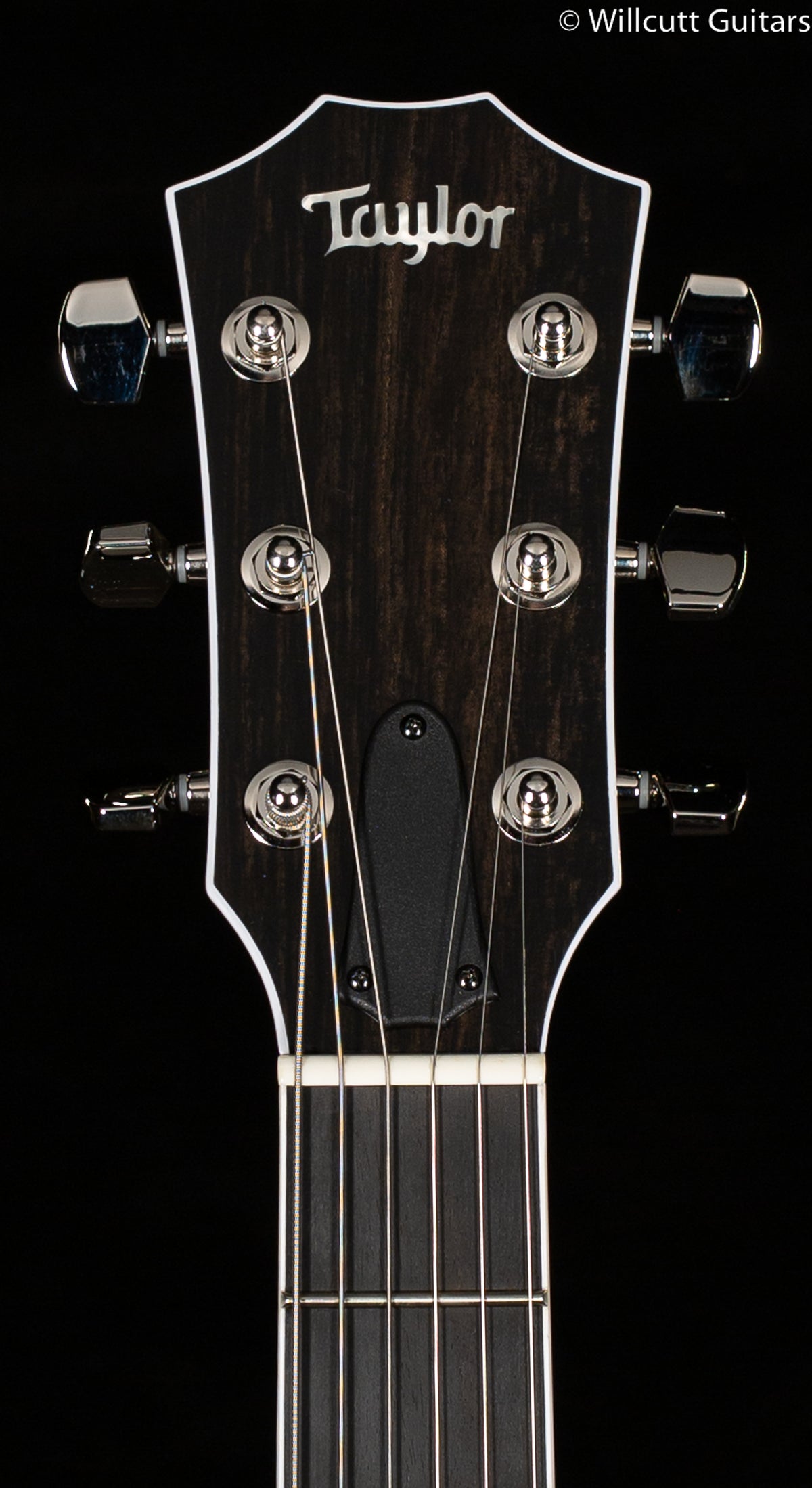 Taylor T5z Pro Molasses Burst Special Edition Quilt Maple (008)