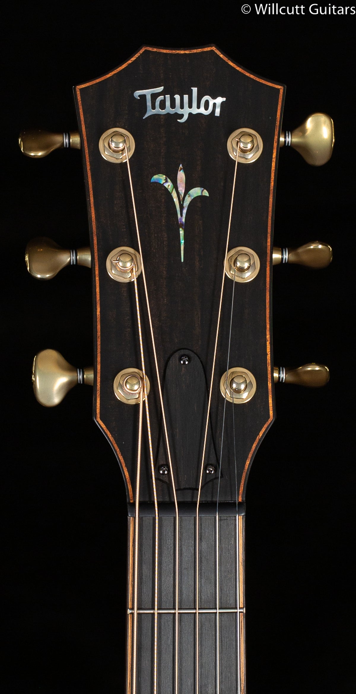 Taylor Builder's Edition K14ce Grand Auditorium Koa (035)