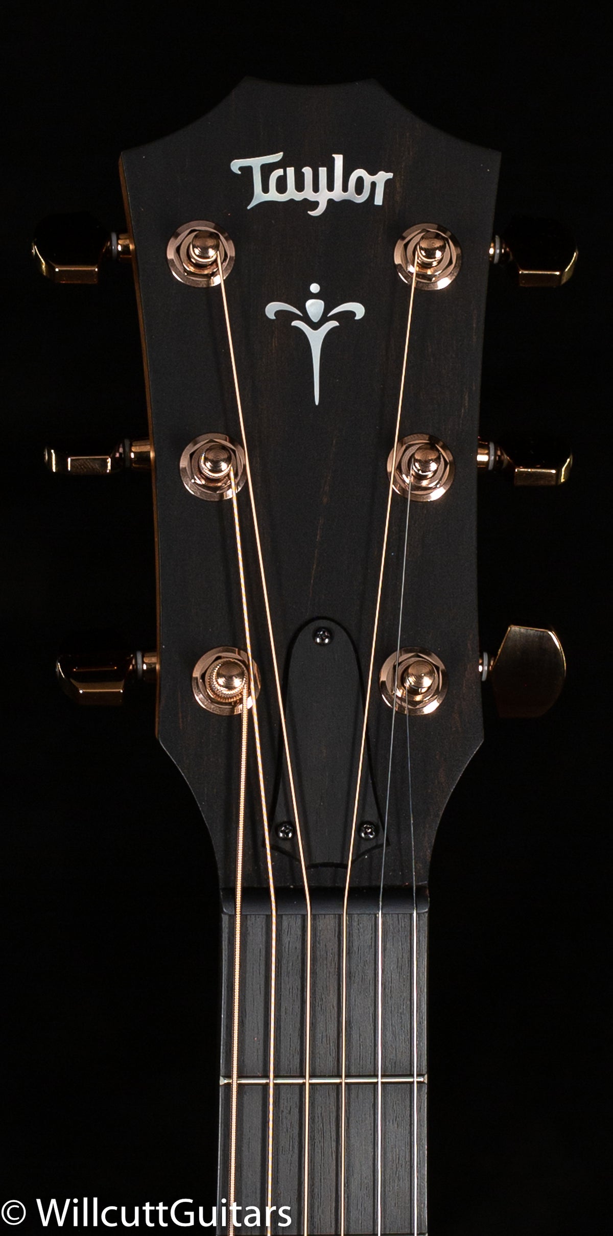 Taylor 724ce Grand Auditorium Koa (173)