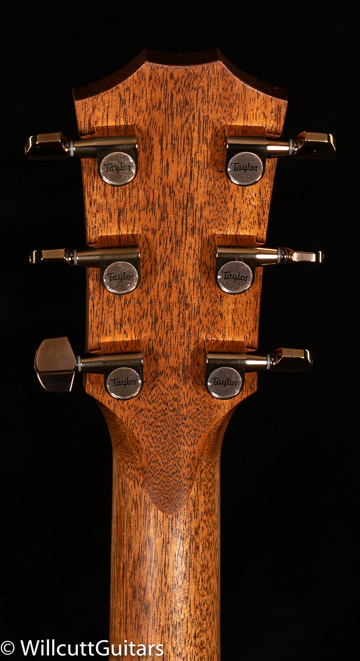 Taylor 724ce Grand Auditorium Koa (173)