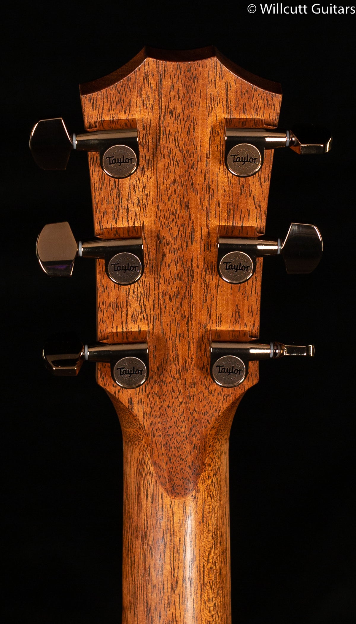Taylor 724ce Koa Grand Auditorium (163)