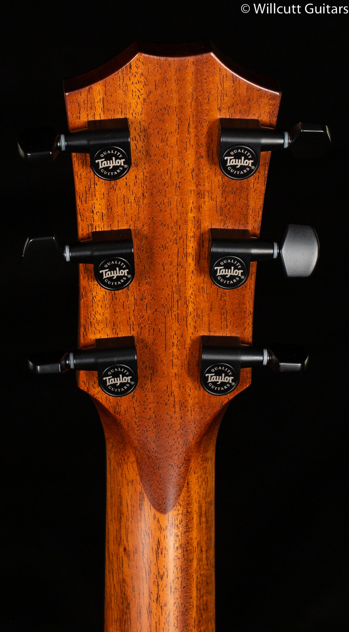 2022 Taylor 326ce Grand Symphony Mahogan Shaded Edge Burst (078)