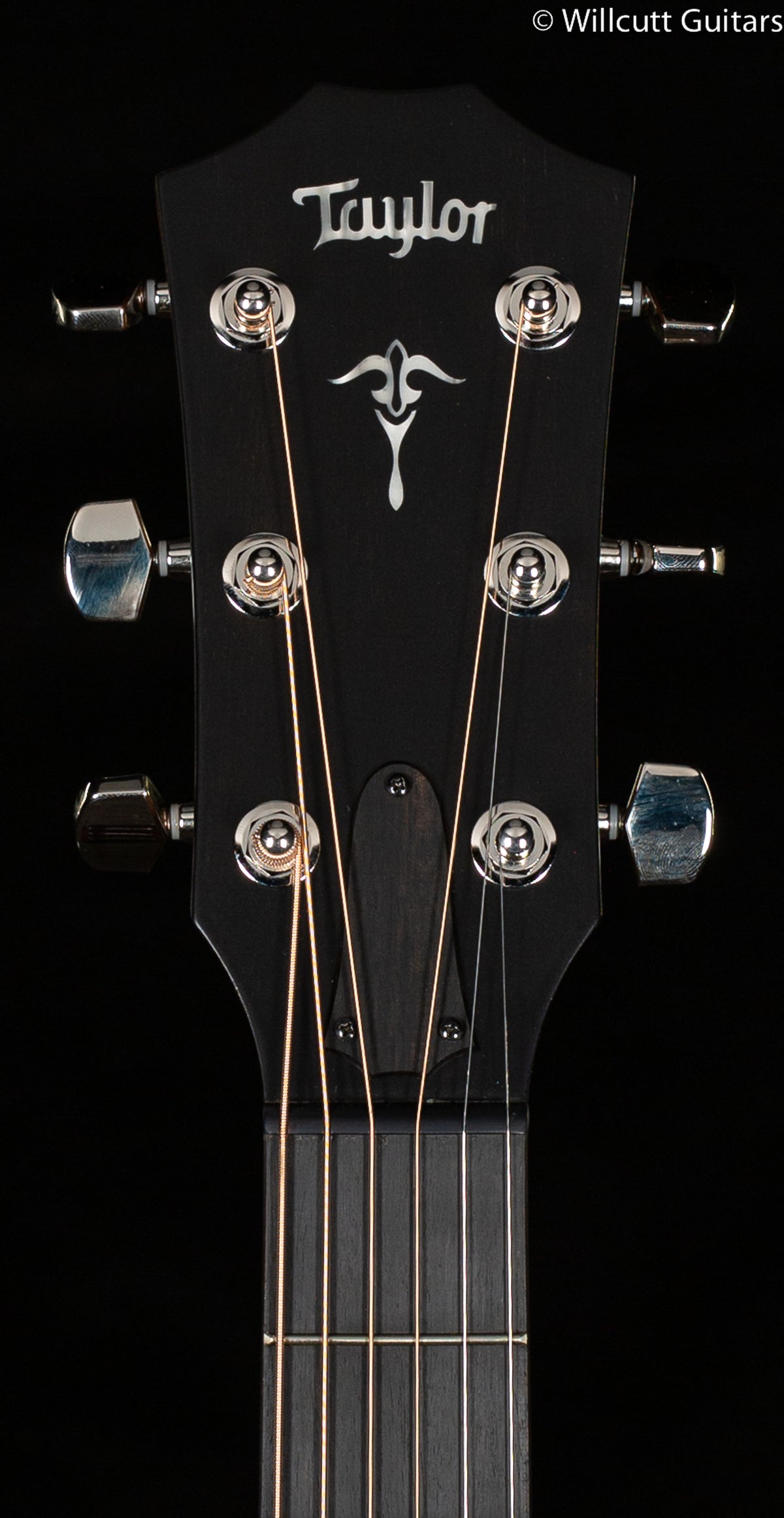 Taylor 512ce Grand Concert Urban Ironbark/Torrefied Sitka (047)