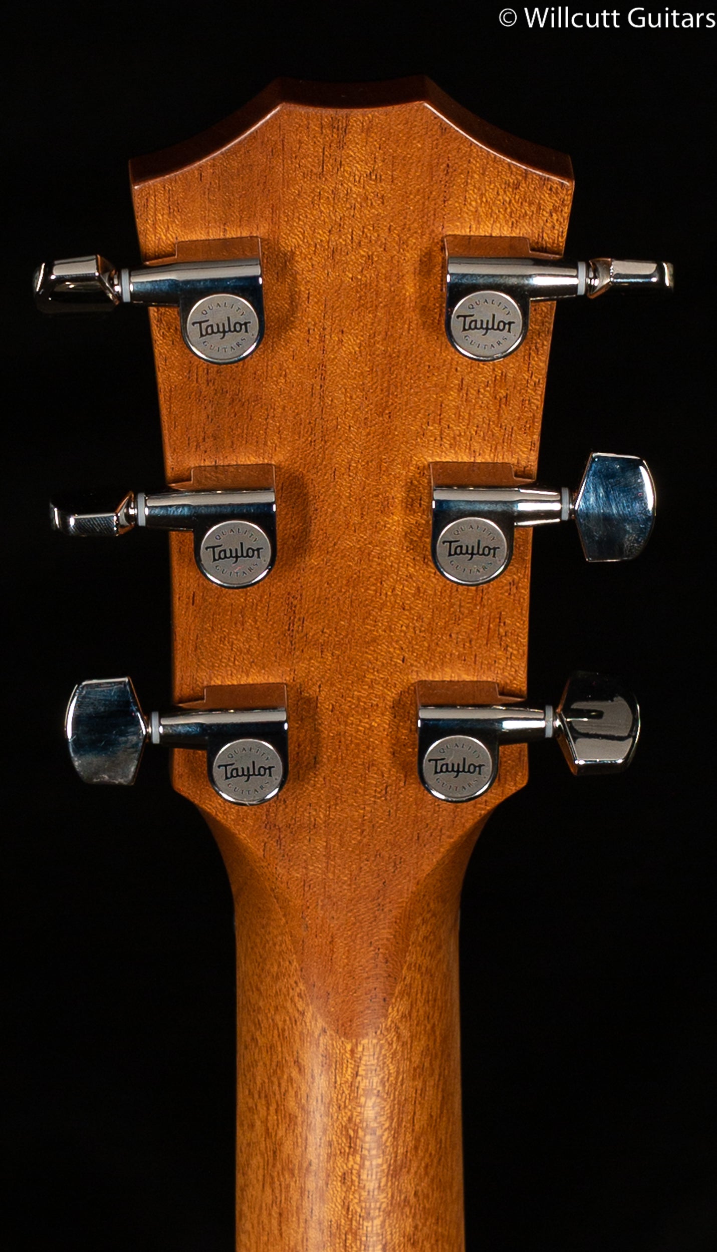 Taylor 512ce Acoustic Electric Guitar - Urban Ironbark