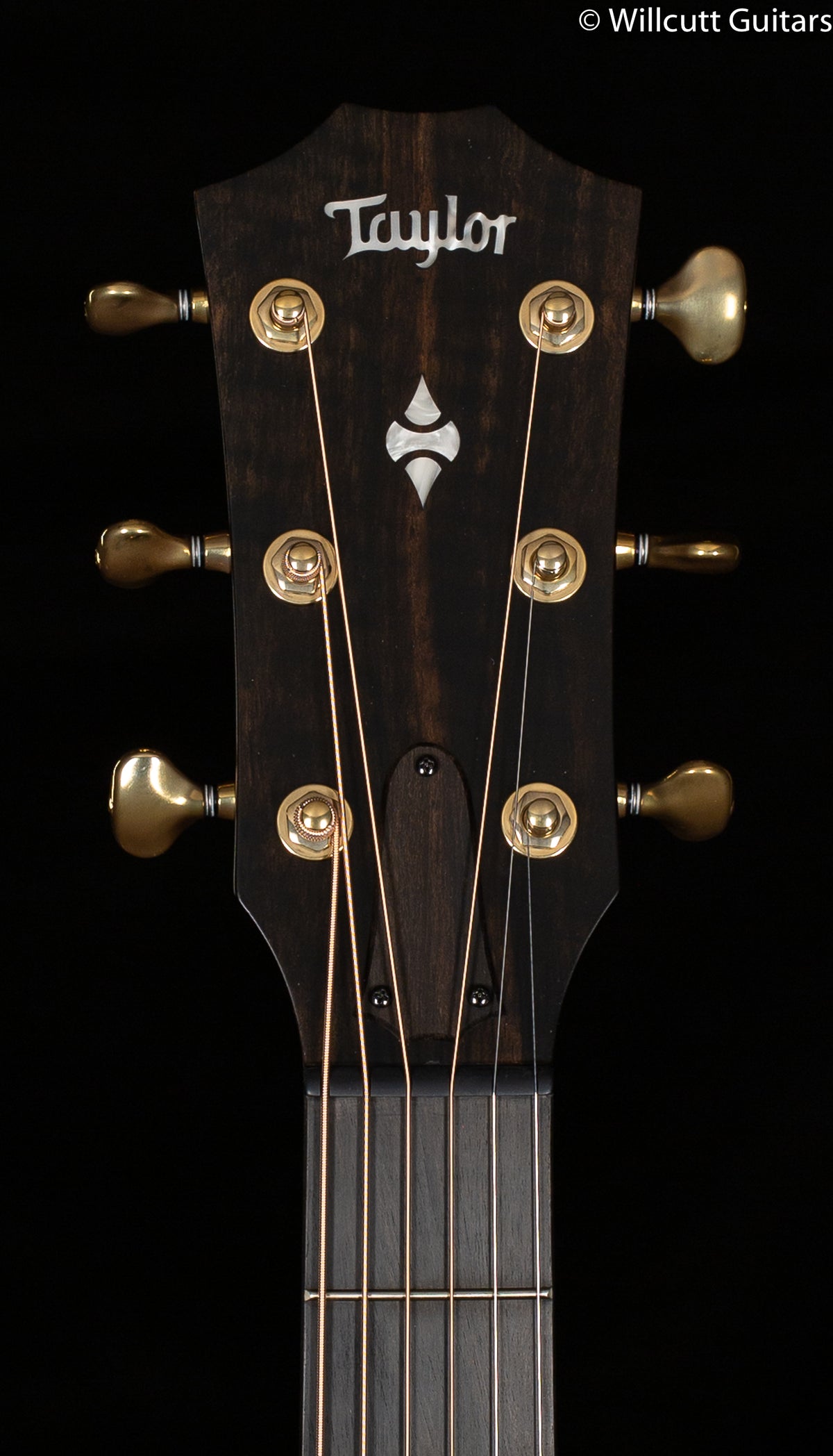 Taylor 324ce Builders Edition