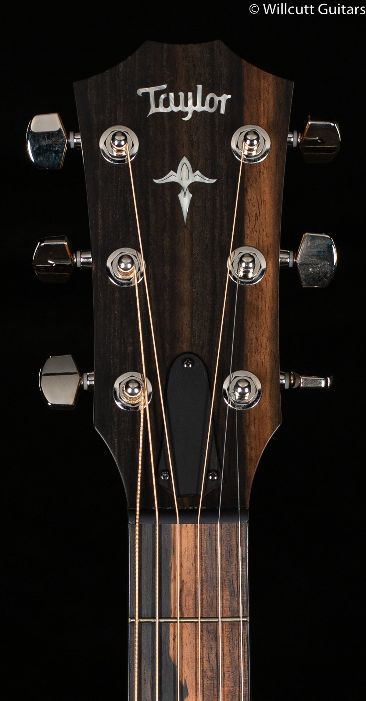 Taylor 414ce LTD Sinker Redwood/Rosewood (168)