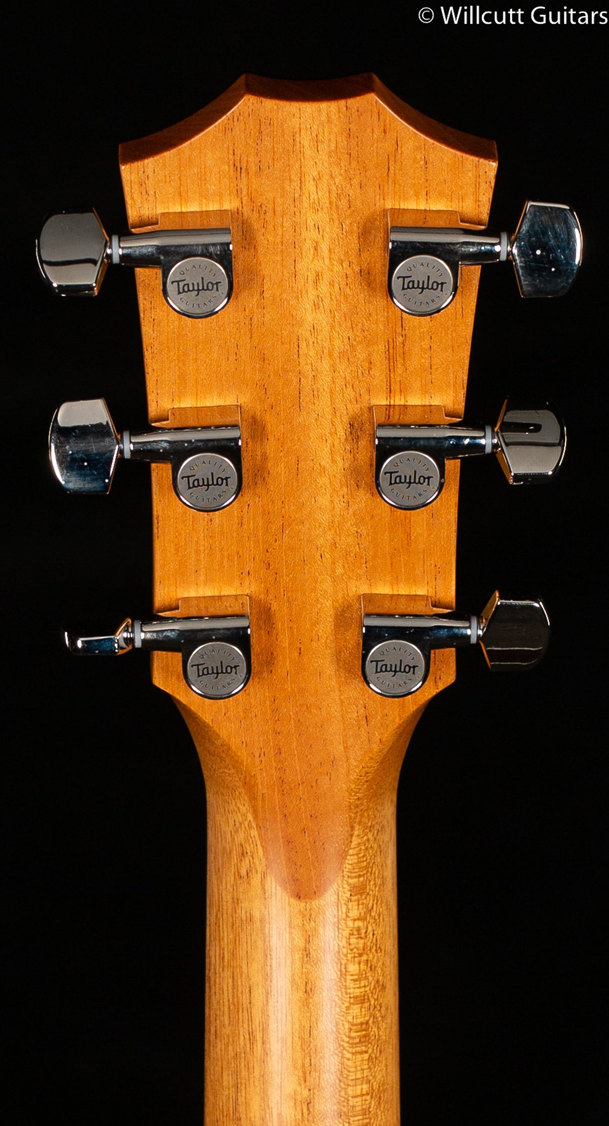 Taylor 414ce LTD Sinker Redwood/Rosewood (168)