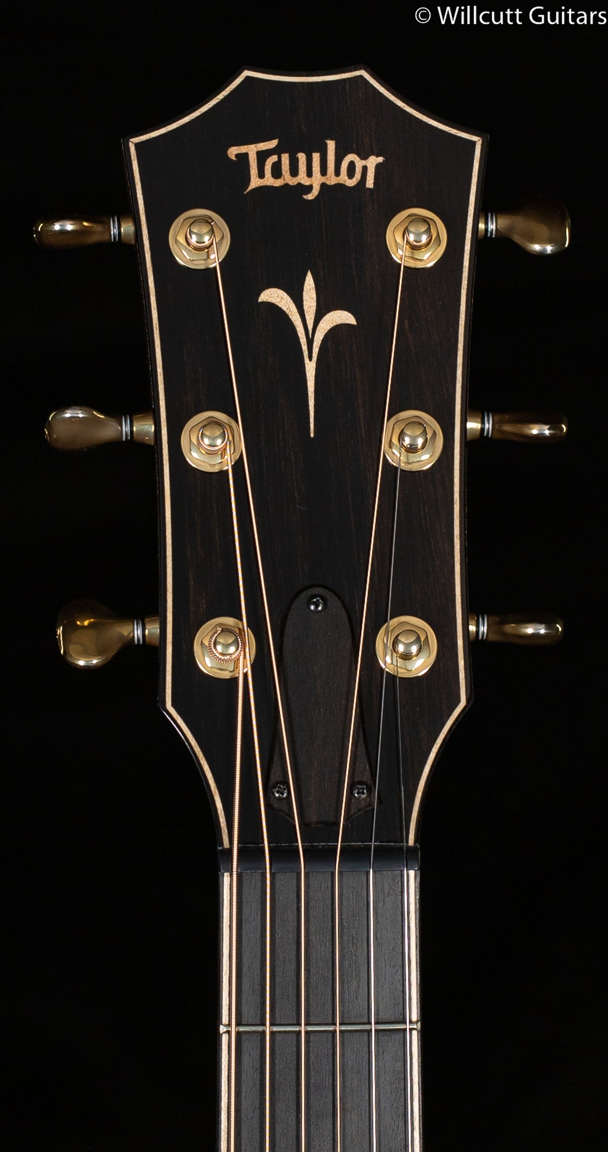 Taylor K26ce Grand Symphony Koa (080)