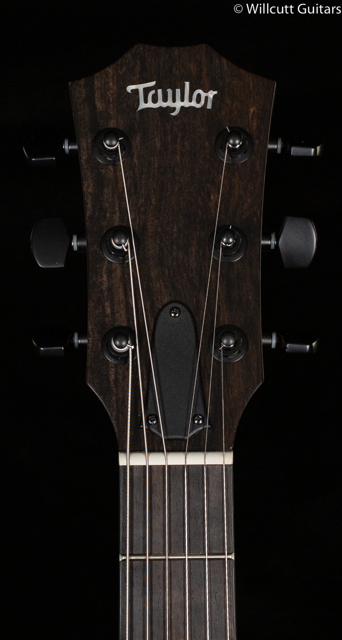 Taylor T5z Classic Koa Top (096)
