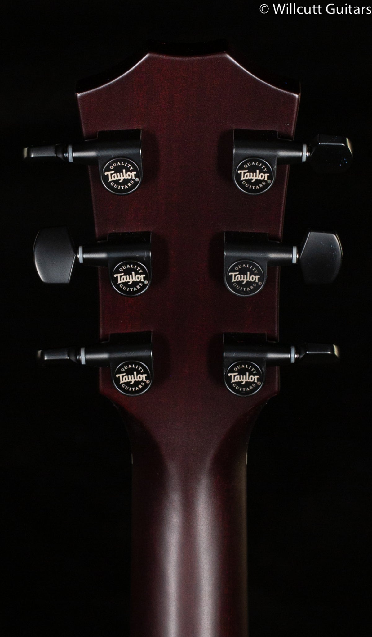 Taylor T5z Classic Koa Top (096)