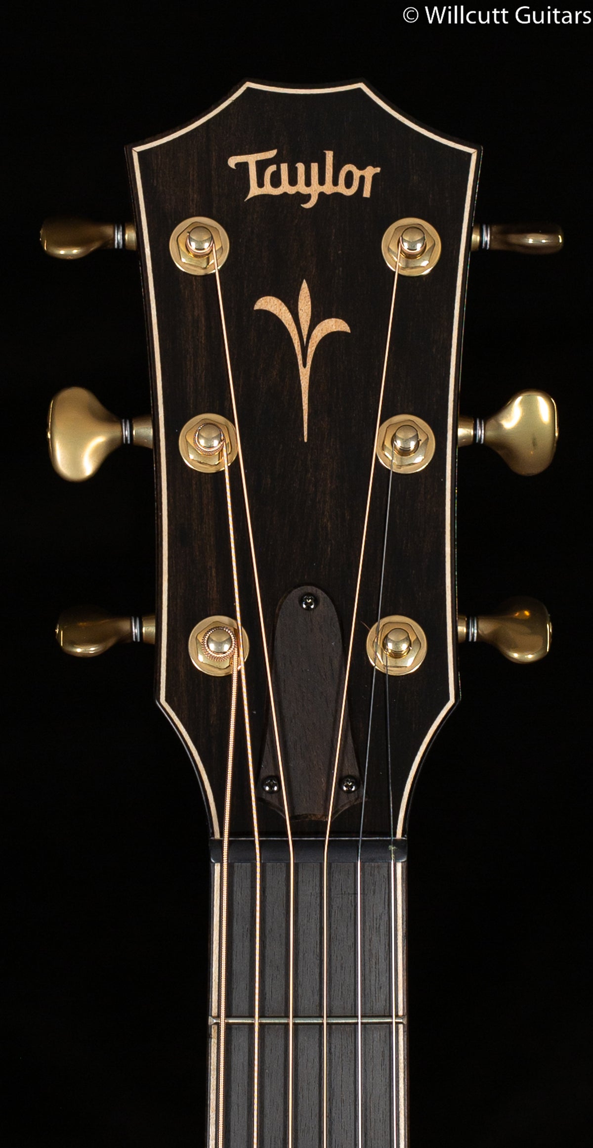 Taylor K24ce Grand Auditorium Koa (113)