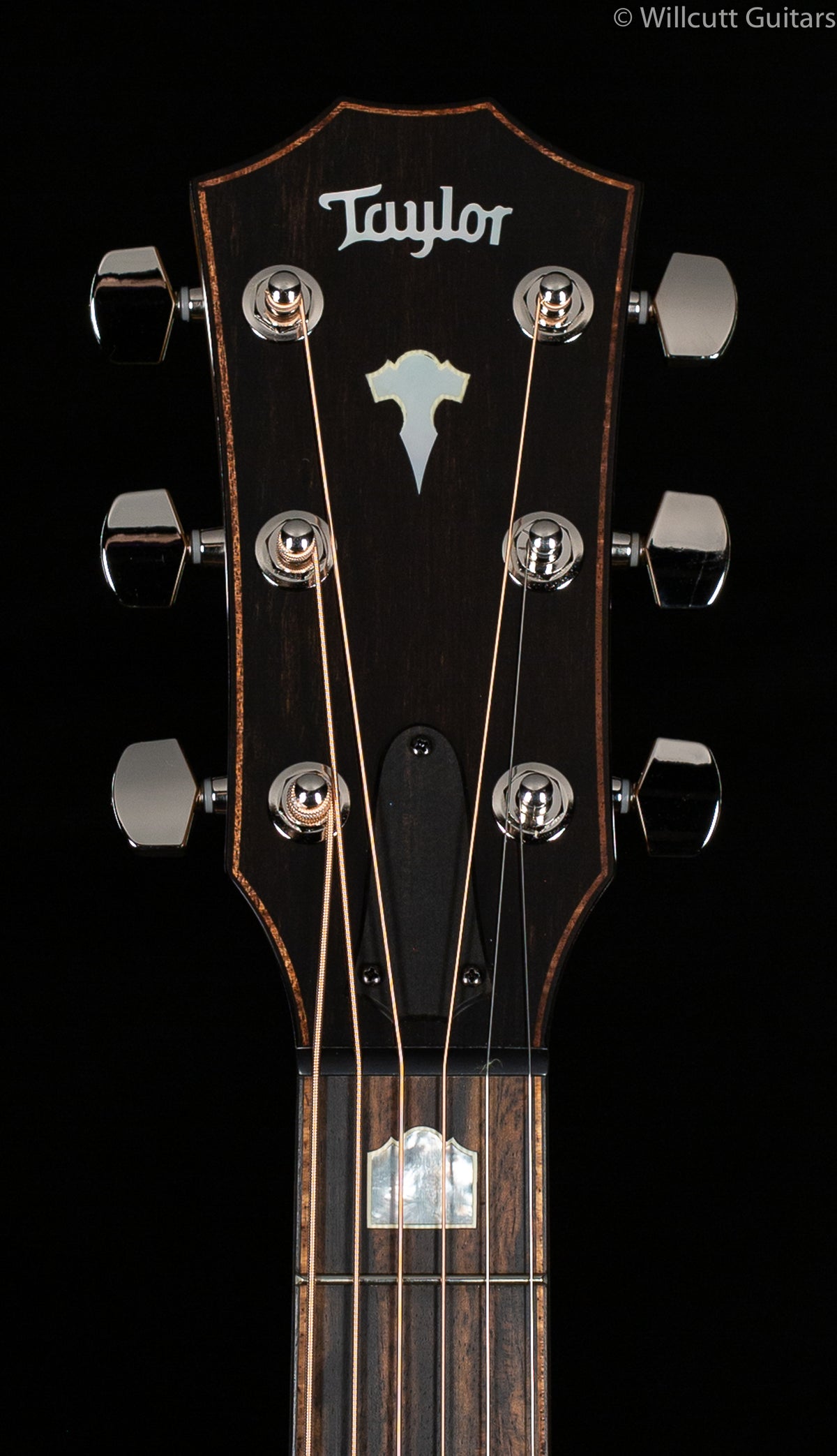 Taylor 618E