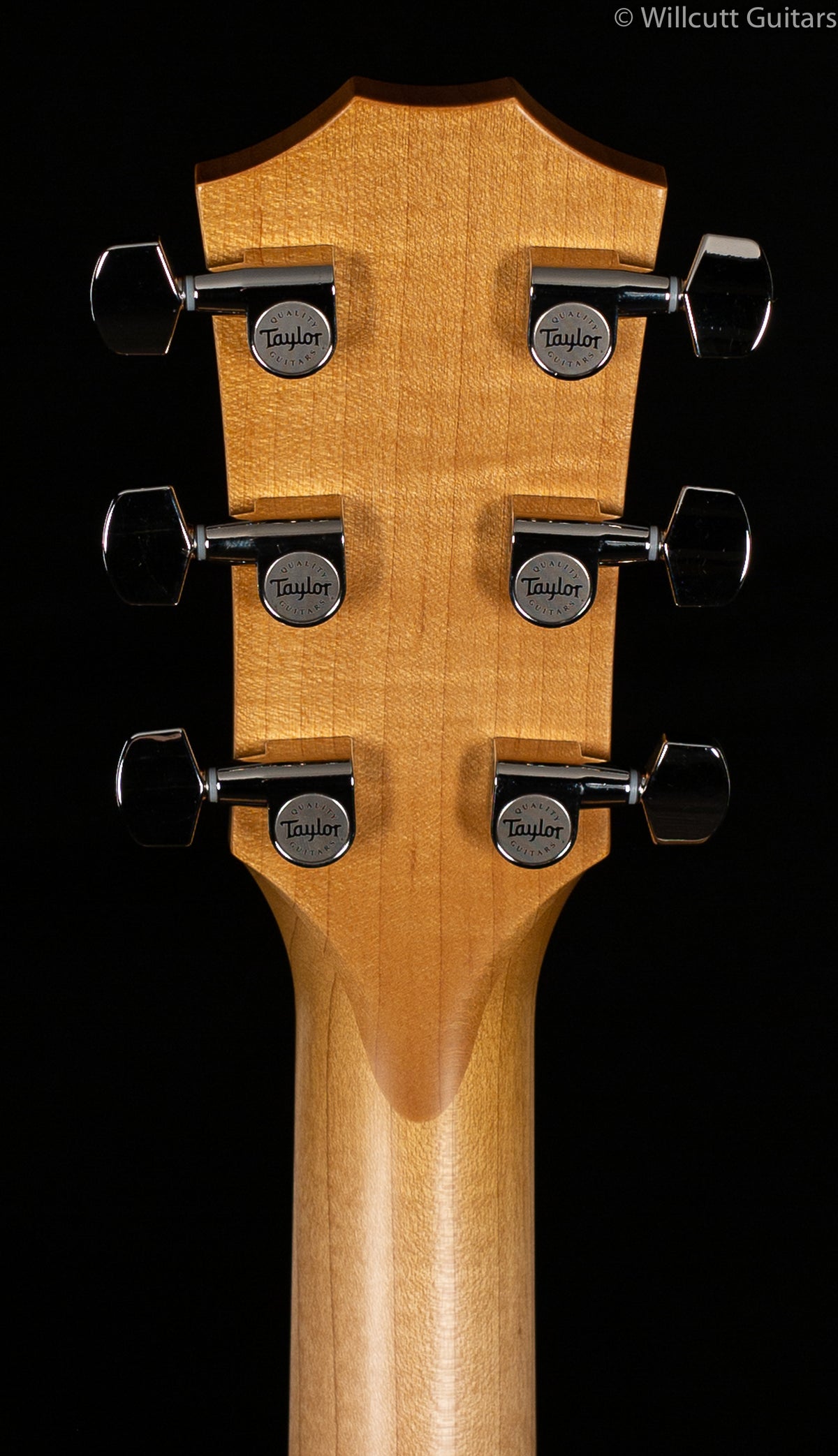 Taylor 618E