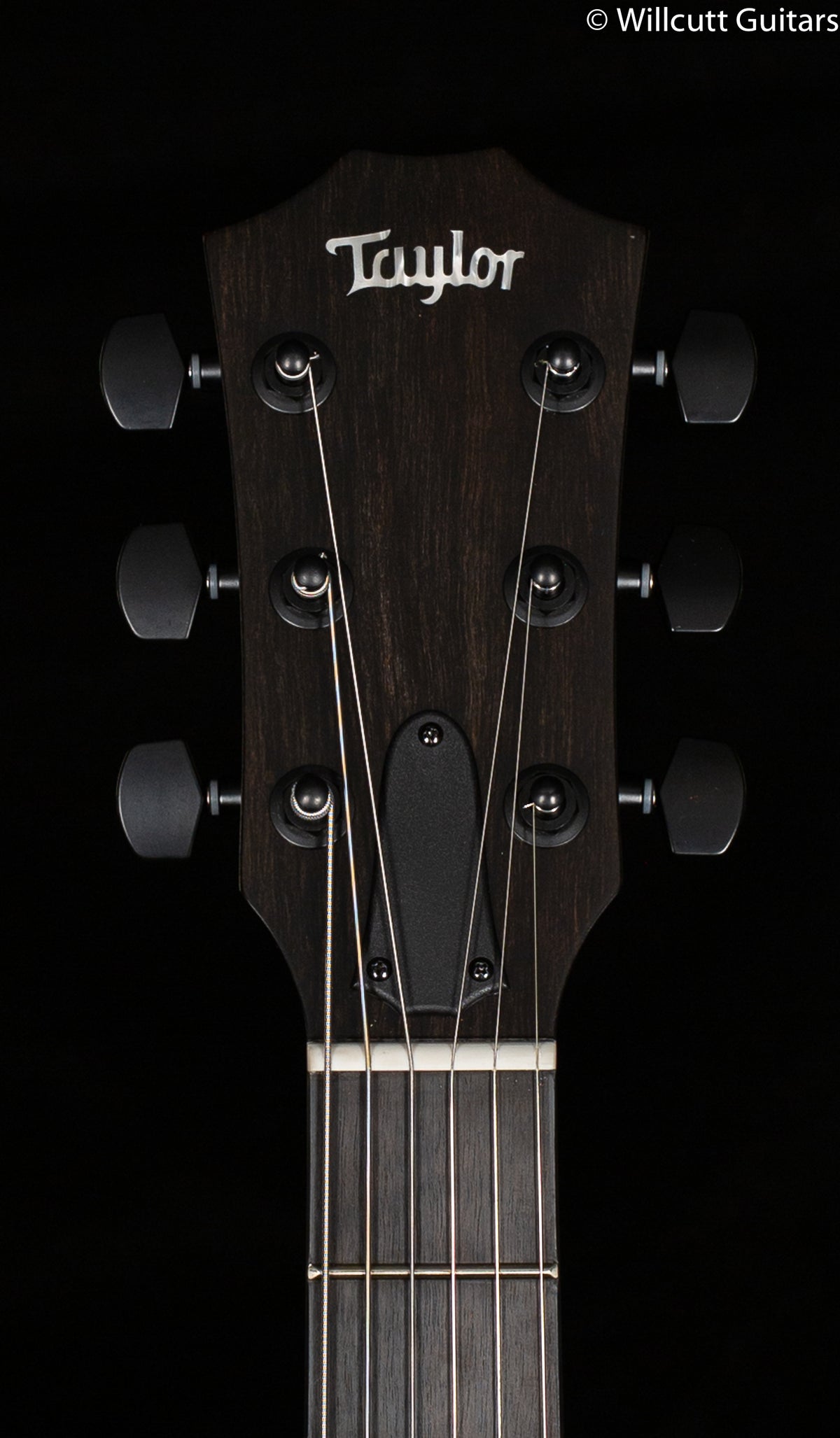 Taylor T5Z Classic Rosewood