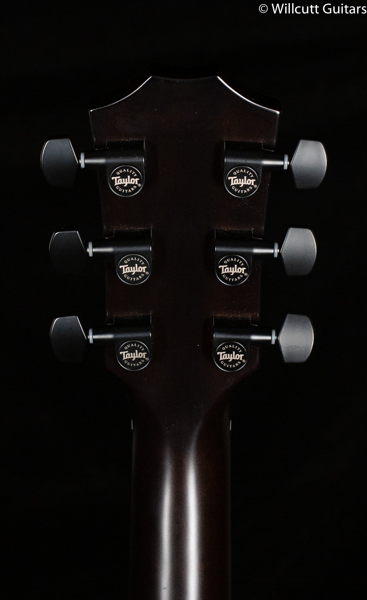 Taylor T5Z Classic Rosewood
