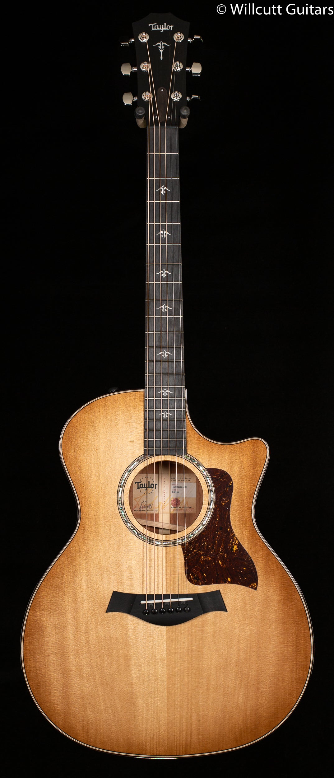Taylor 514ce Urban Ironbark/Torrefied Sitka (166)