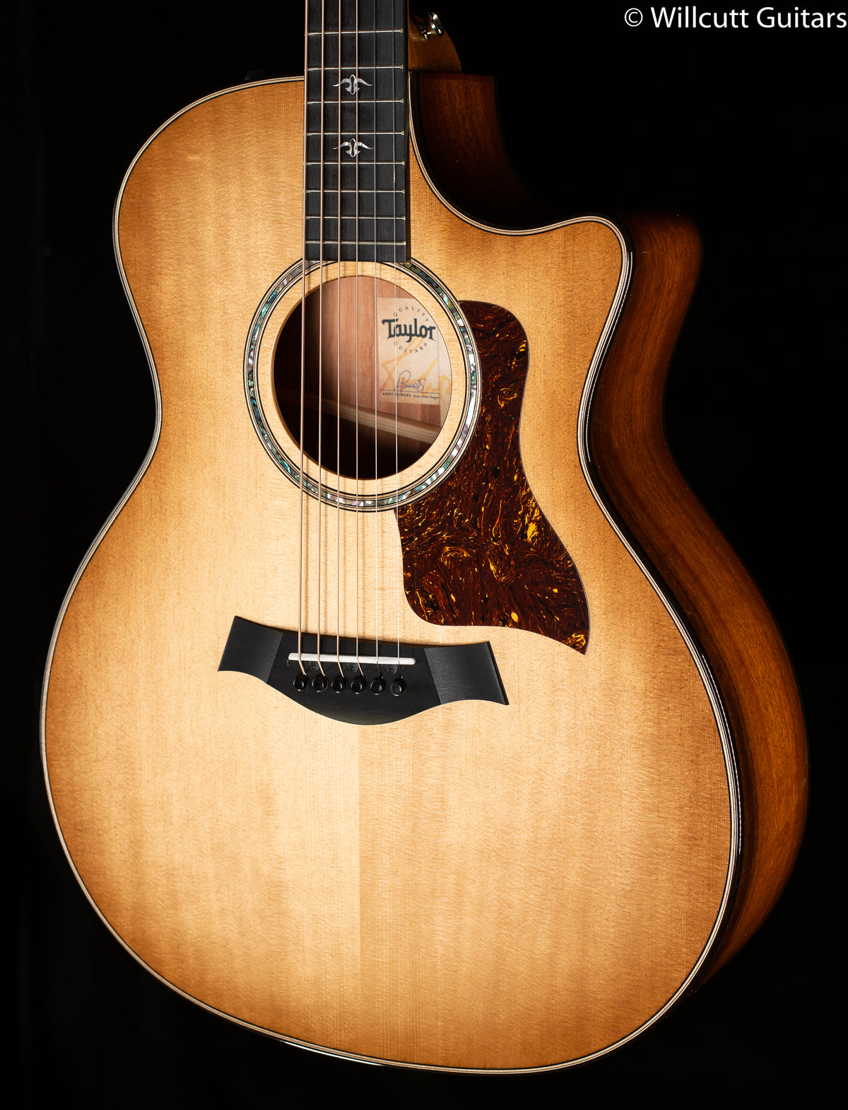 Taylor 514ce Urban Ironbark/Torrefied Sitka (166)