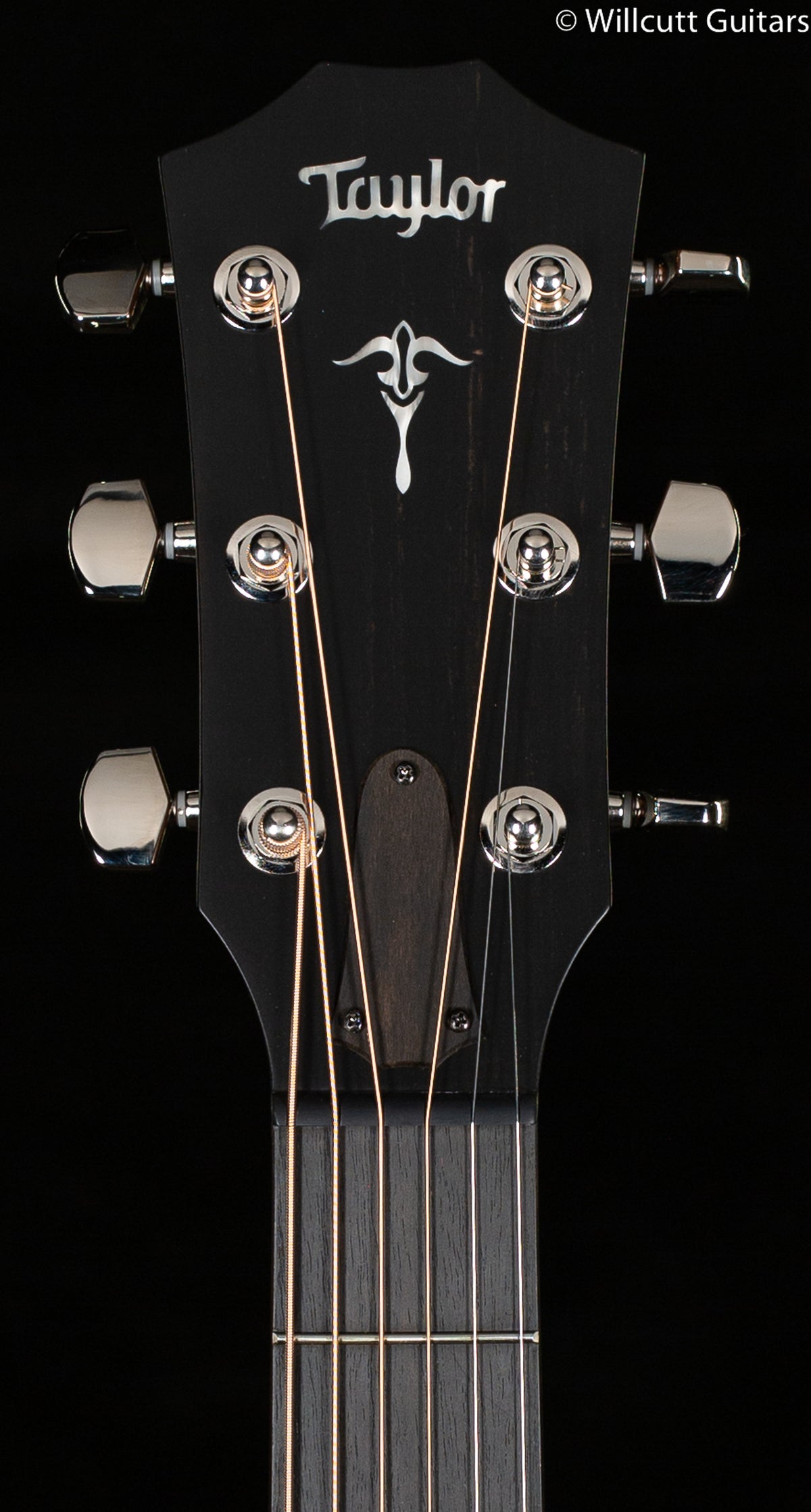 Taylor 514ce Urban Ironbark/Torrefied Sitka (166)
