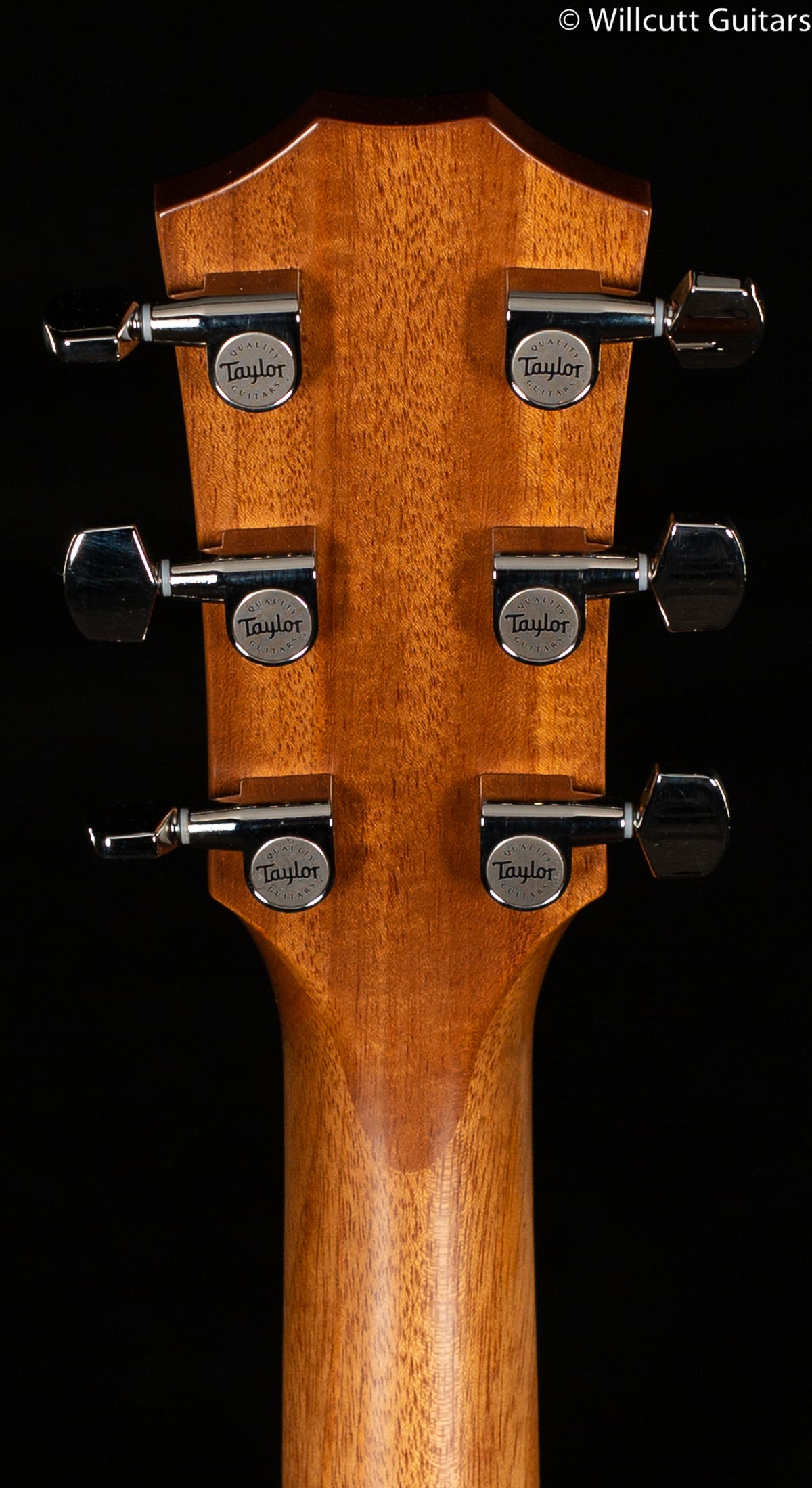 Taylor 514ce Urban Ironbark/Torrefied Sitka (166)
