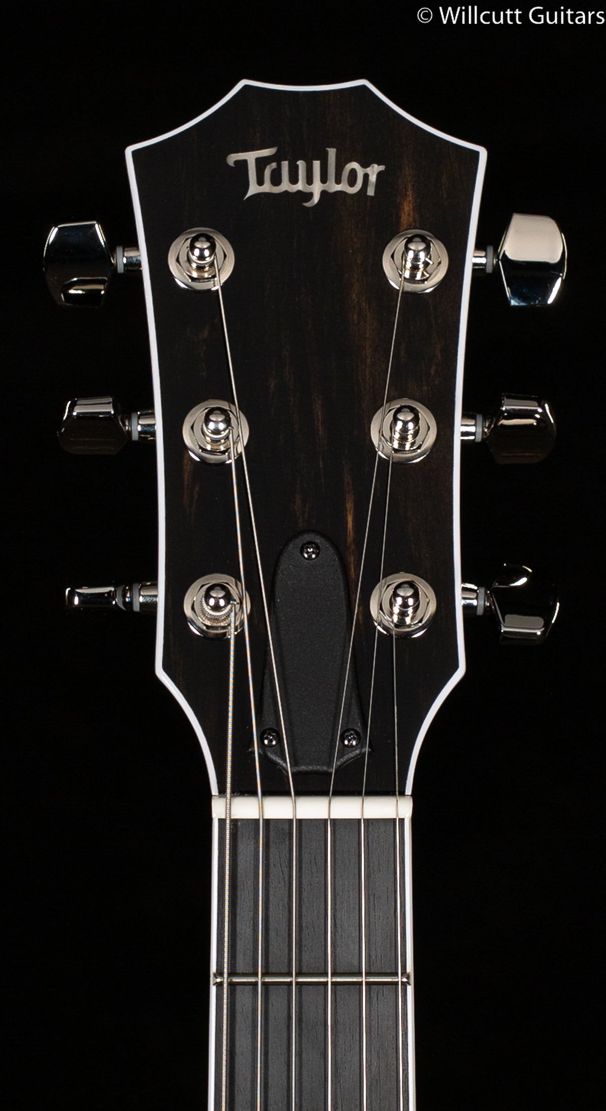 Taylor T5z Pro Denim (007)
