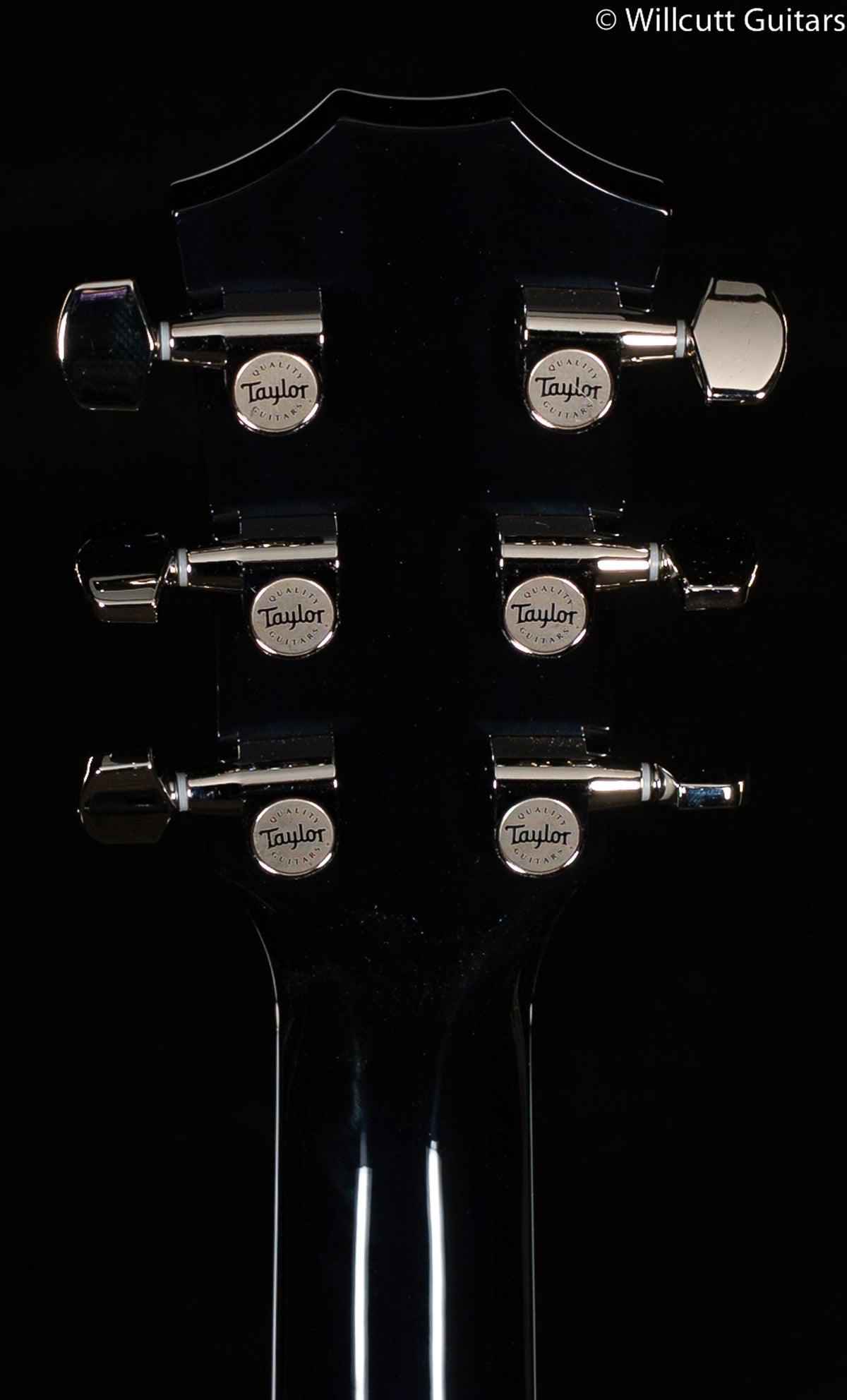 Taylor T5z Pro Denim (007)