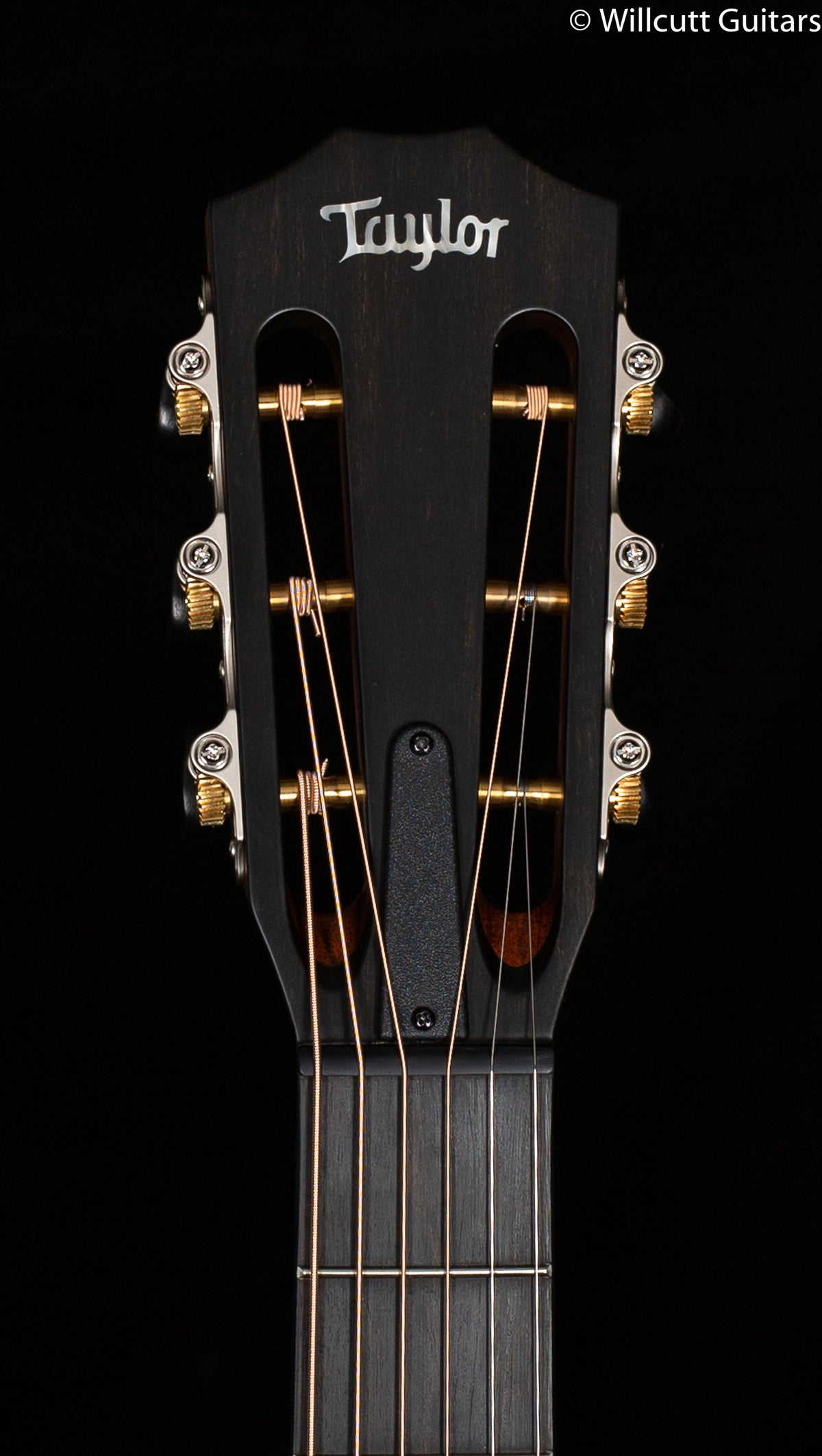 Taylor 312ce 12-Fret