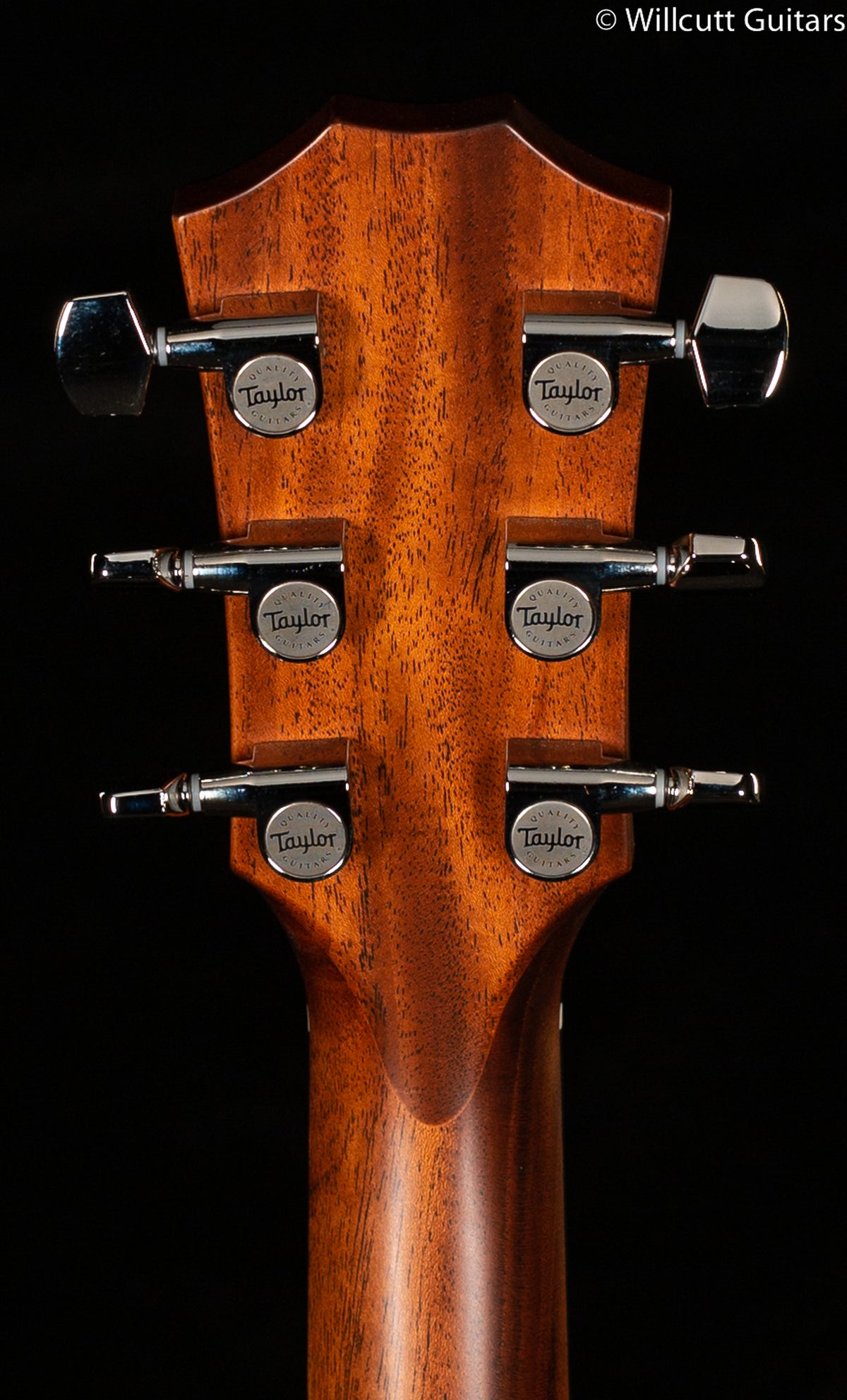 Taylor T5z Classic (001)