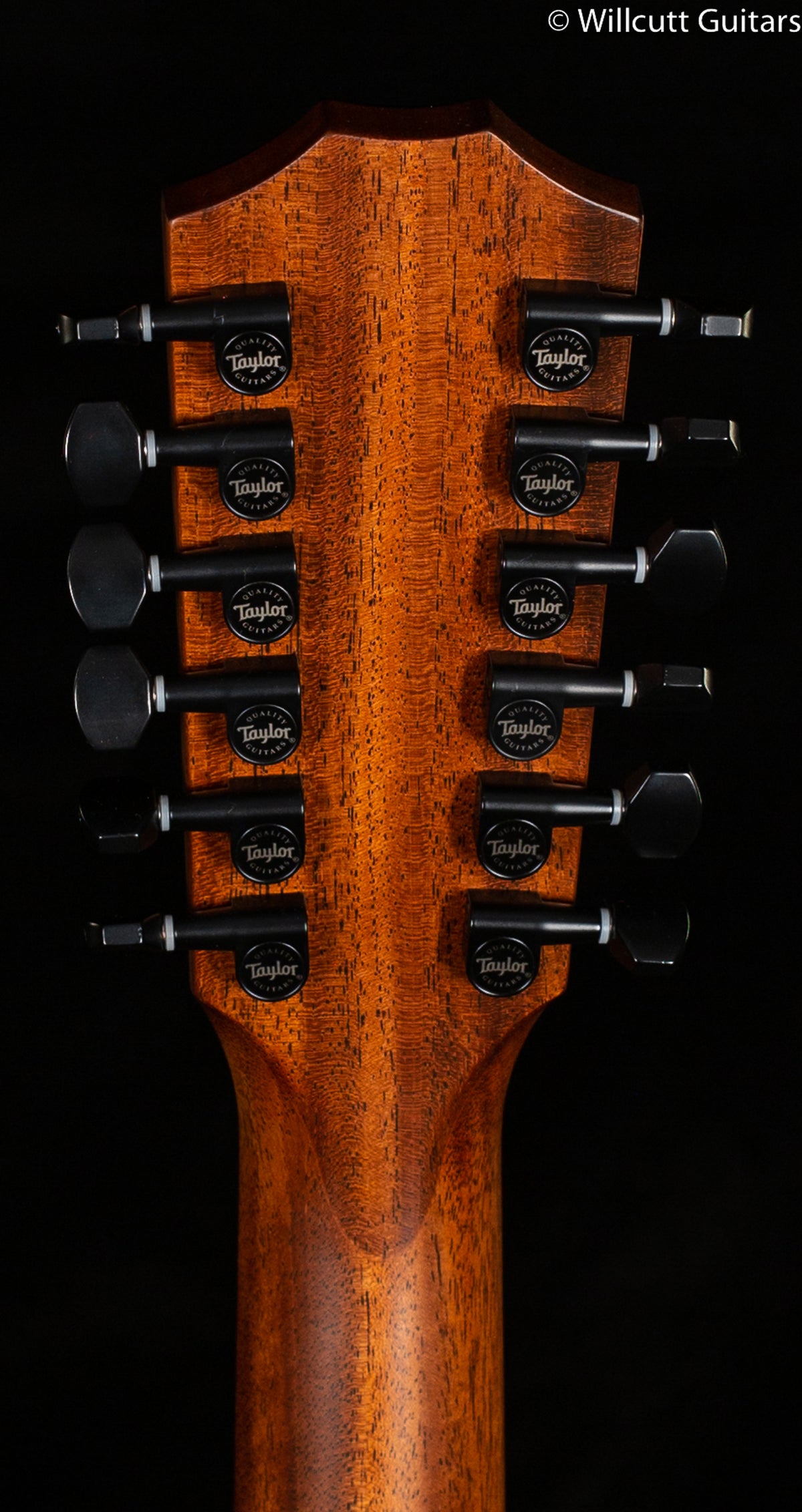 Taylor 362ce Grand Concert Mahogany 12 String Shaded Edge Burst (143)