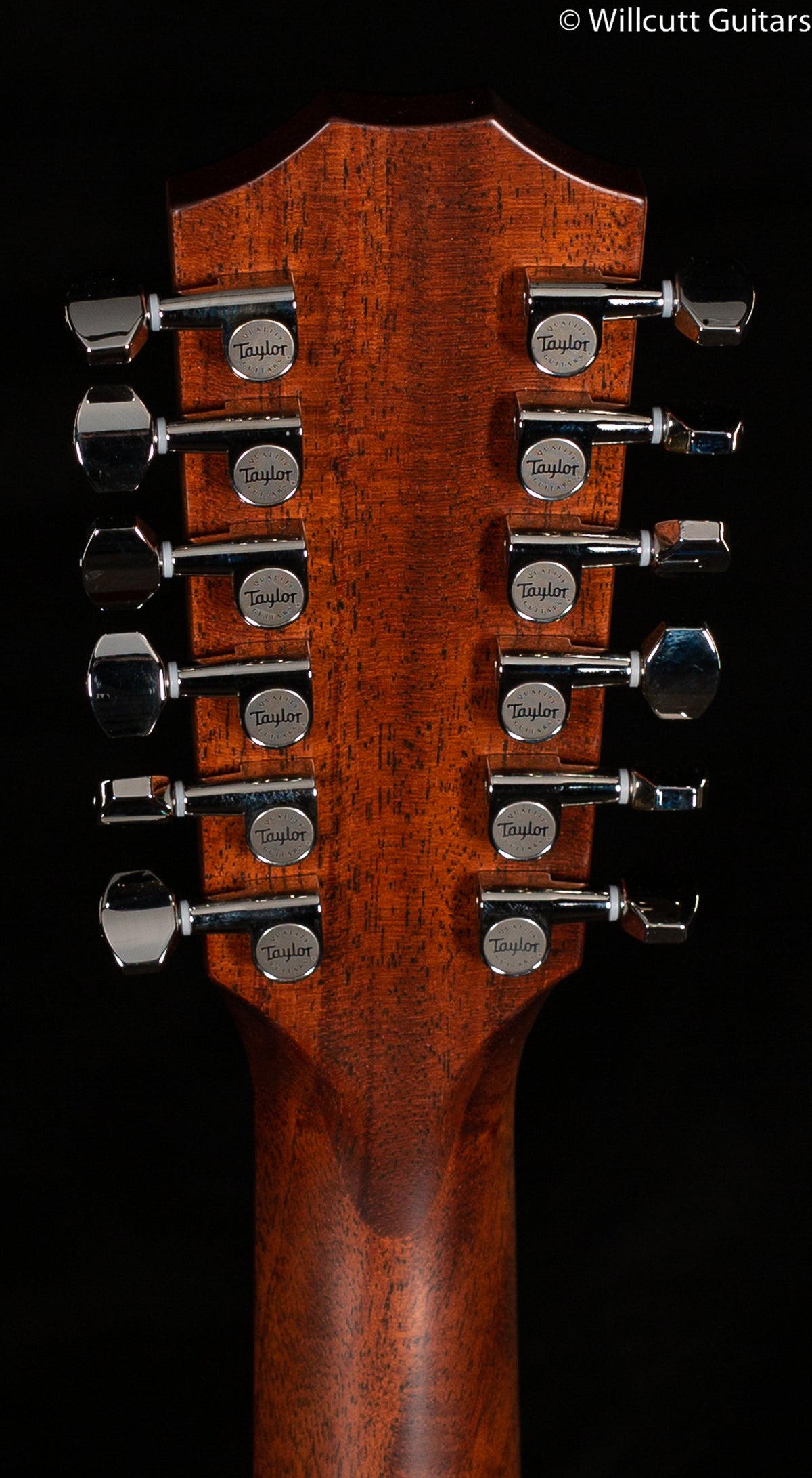 Taylor 352ce Grand Concert 12 String Sitka/Sapele (140)