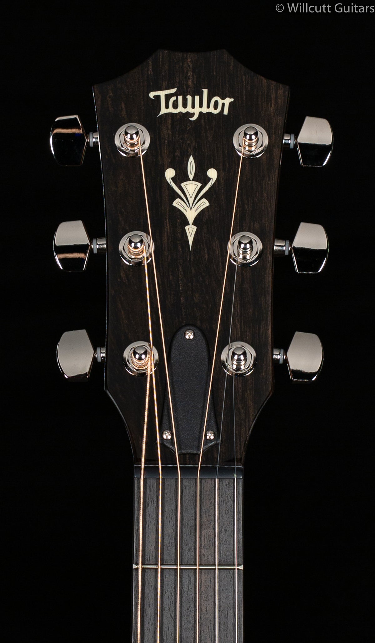 Taylor 514 CE V-Class Lutz Spruce