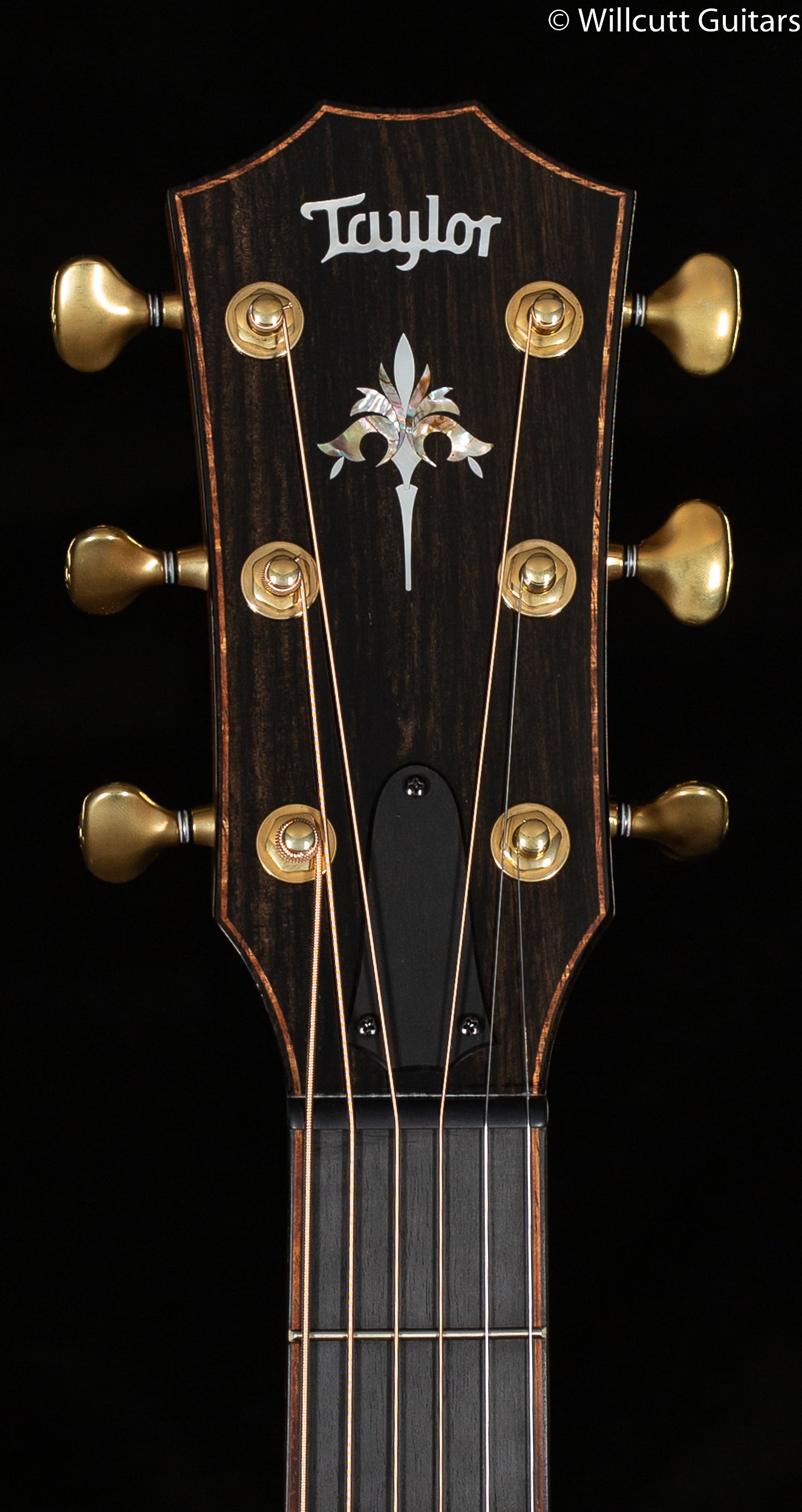 Taylor Guitars 914ce Grand Auditorium Acoustic Electric Guitar