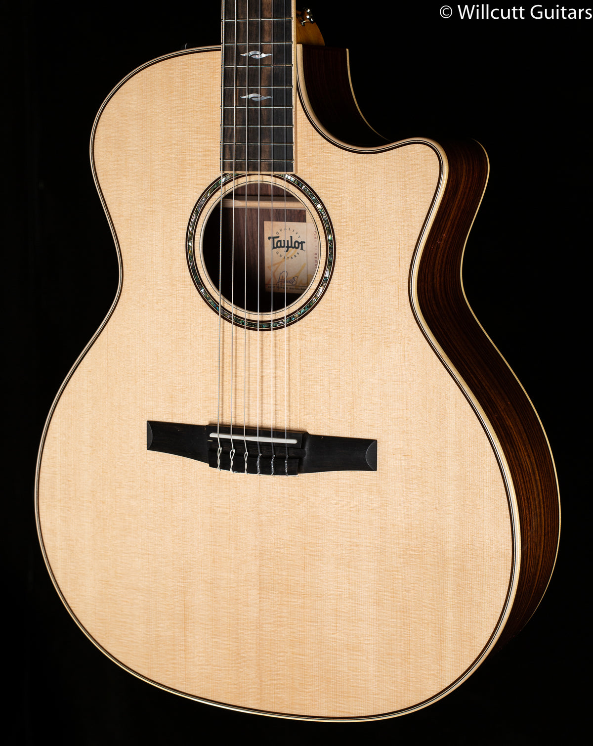 Taylor 814ce-N Nylon (030)
