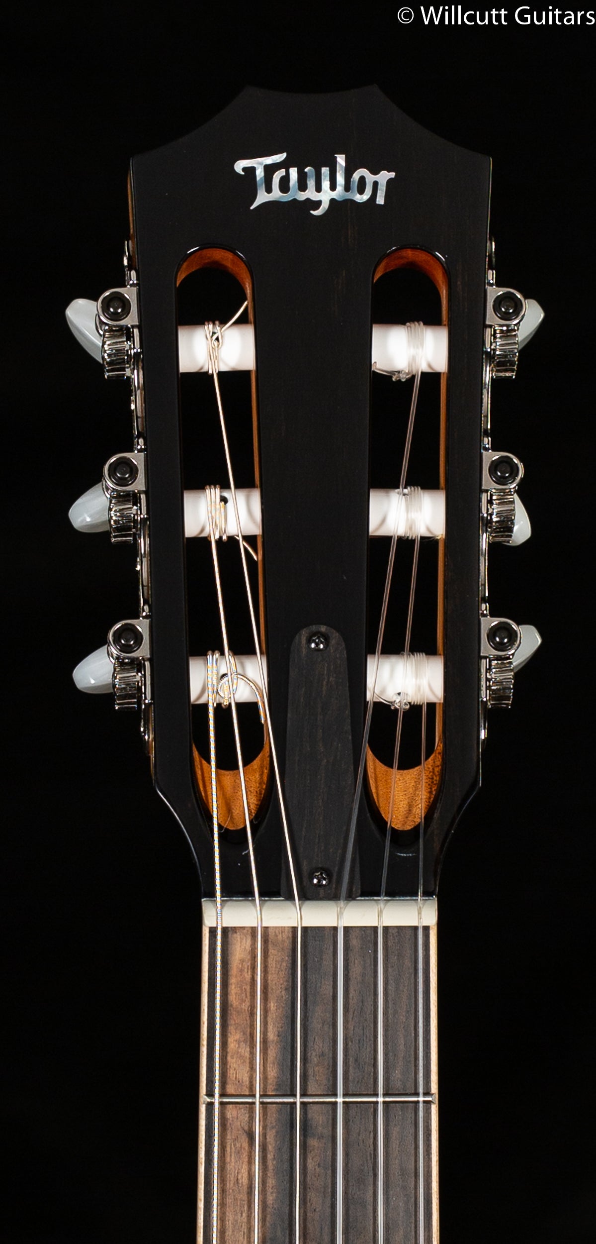 Taylor 814ce-N Nylon (030)