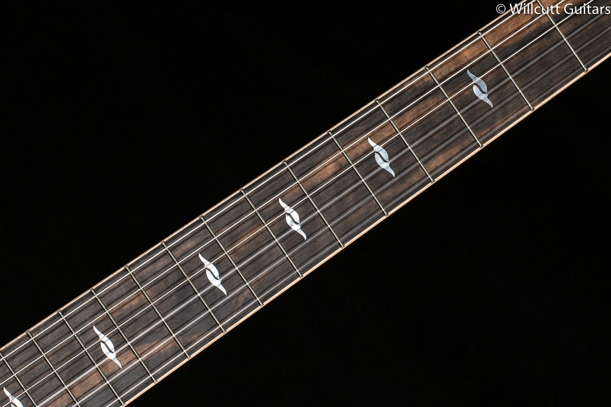 Taylor 814ce-N Nylon (030)