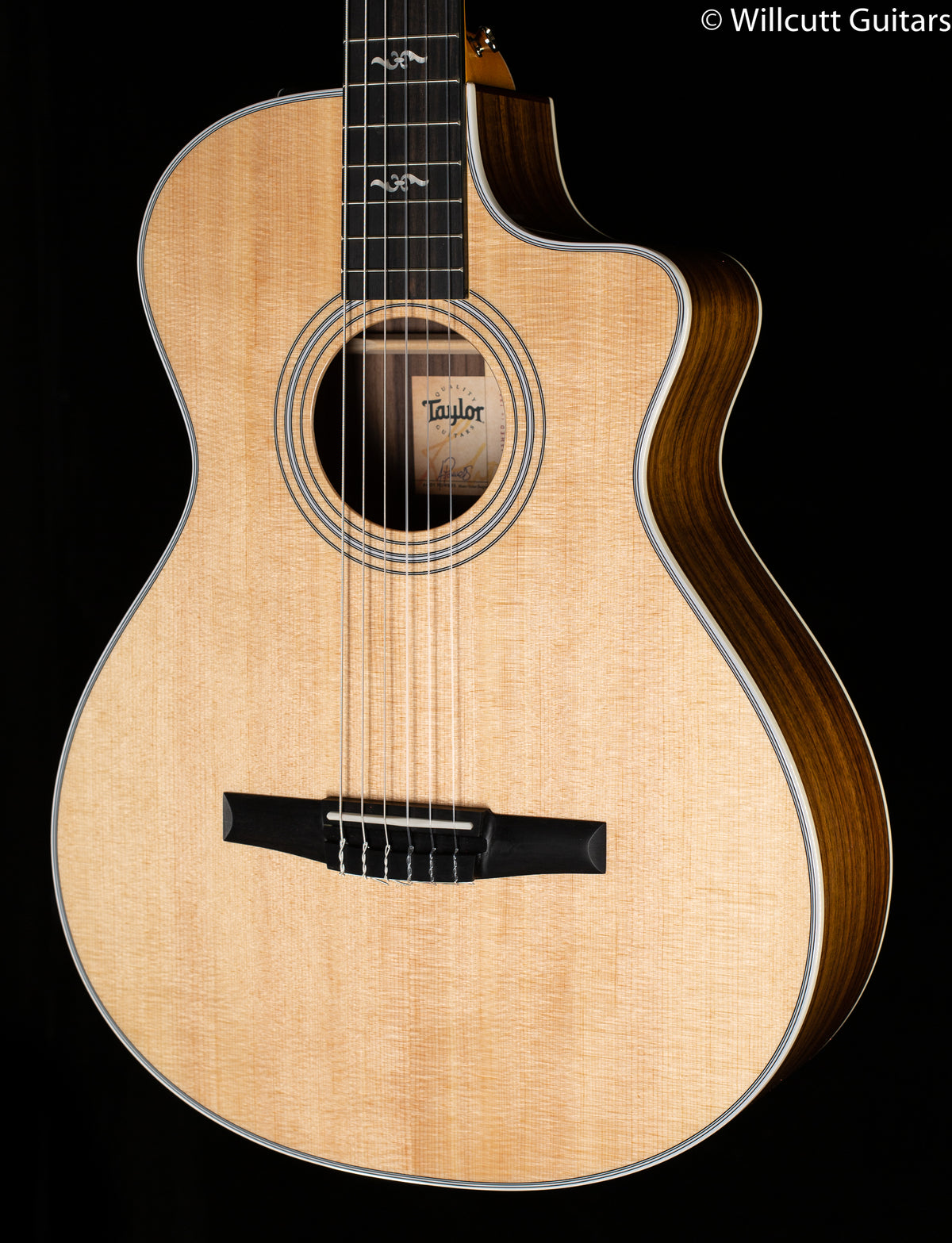 Taylor 412ce Nylon Rosewood (122)