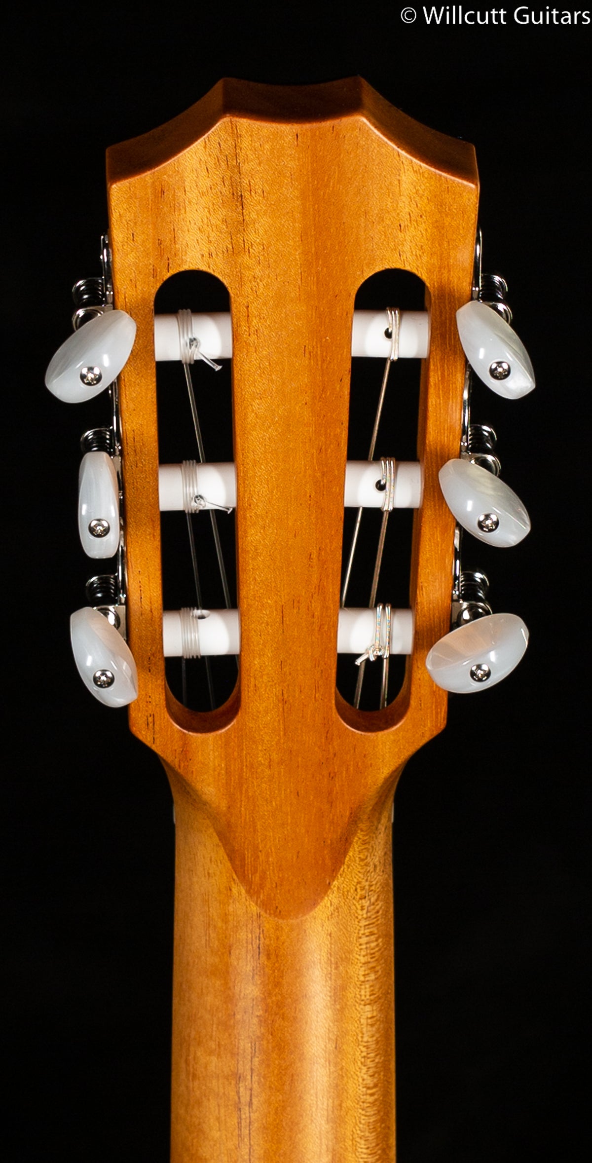 Taylor 412ce Nylon Rosewood (122)