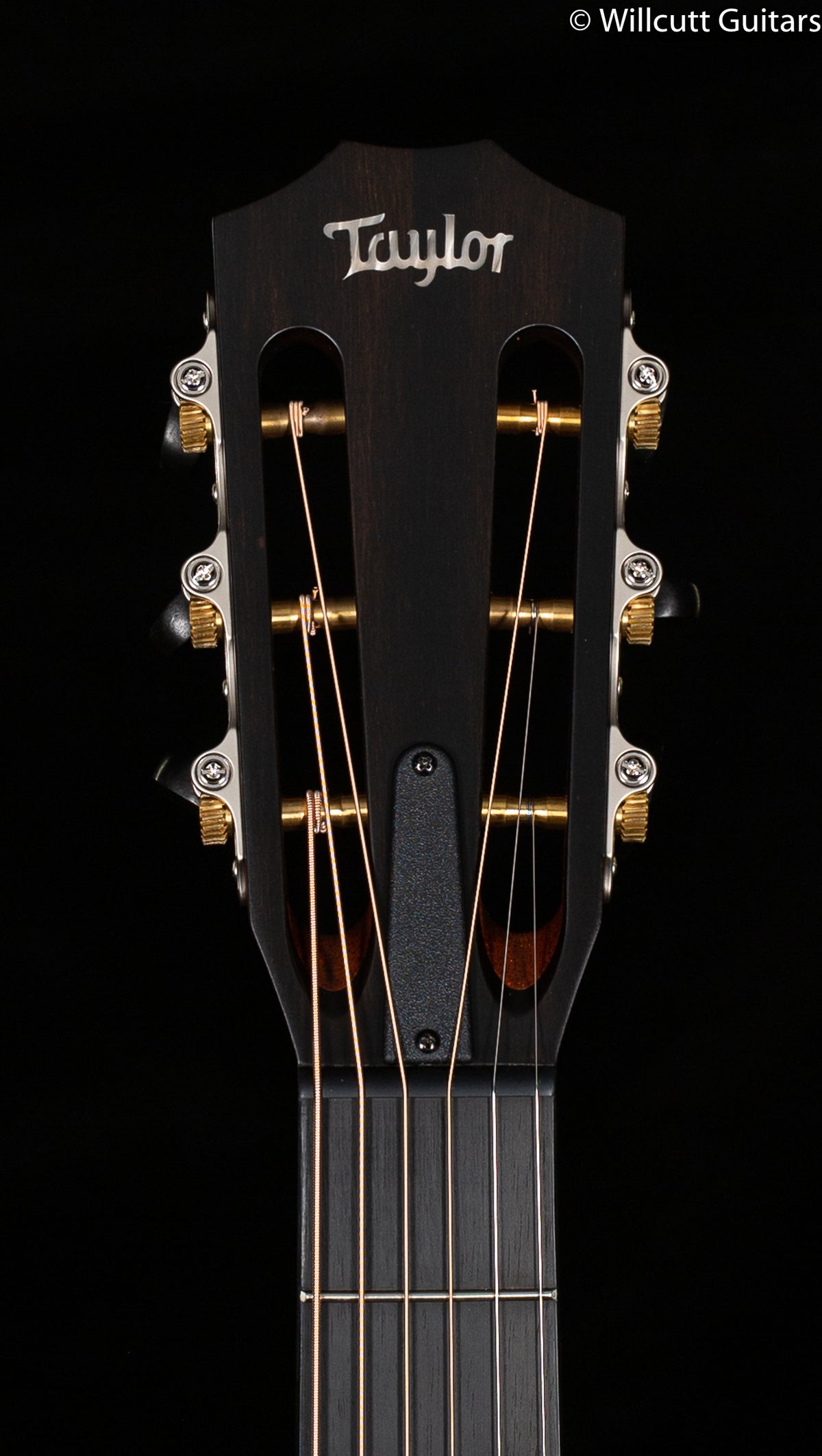 Taylor 312ce 12-Fret