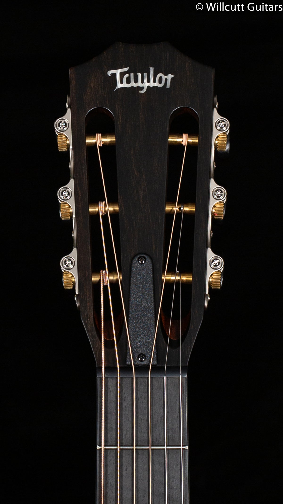 Taylor 312ce 12-Fret