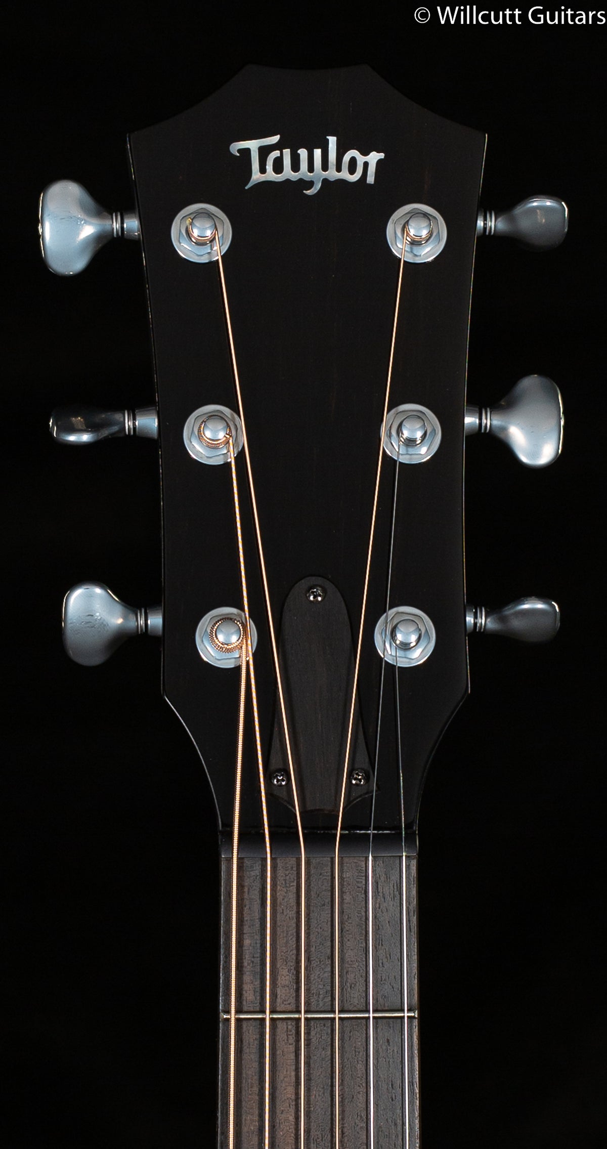 2022 Taylor Custom Grand Auditorium Catch #12 Lutz/Maple (175)