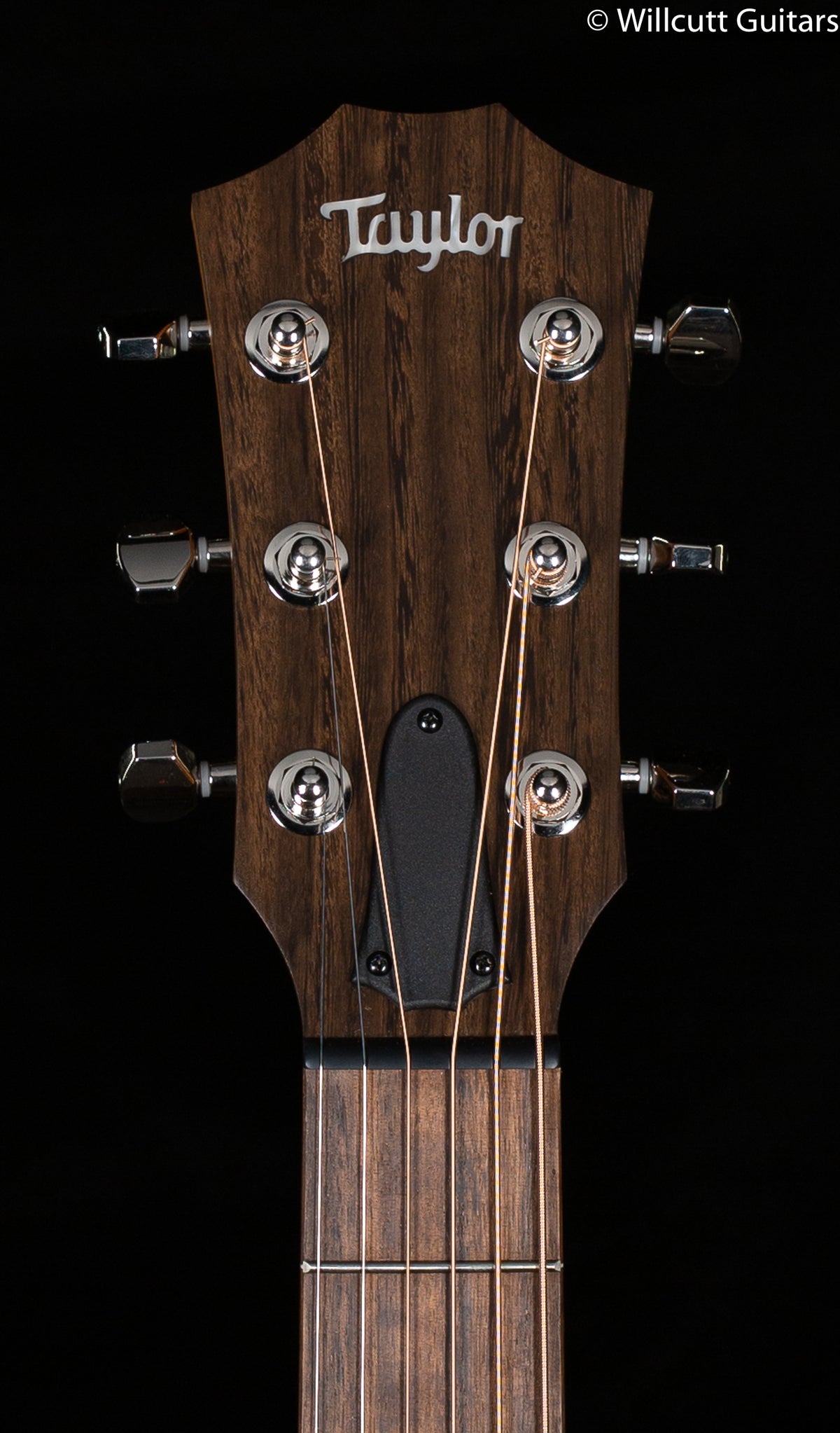 Taylor GTe Urban Ash Left-Handed