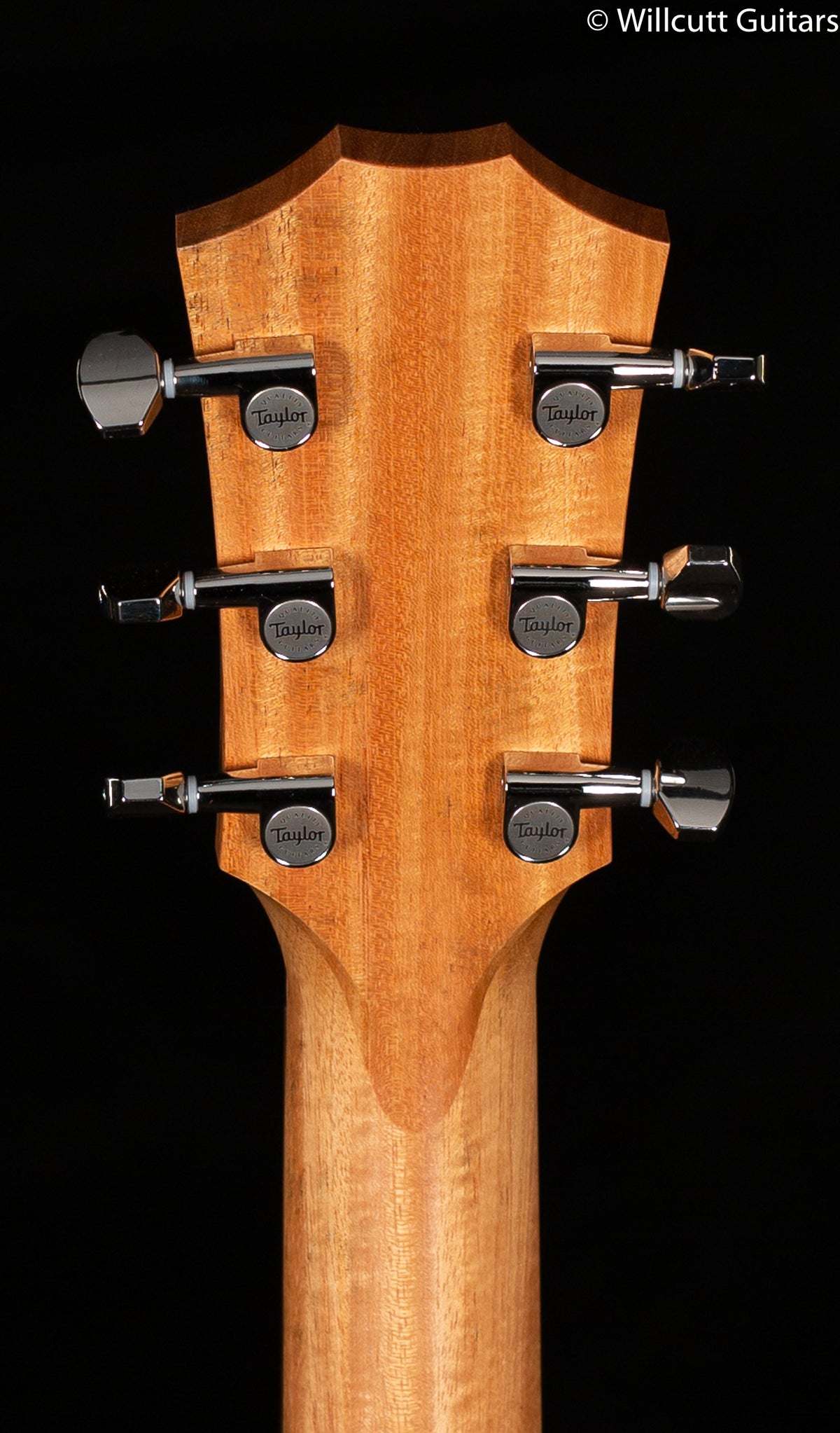 Taylor GTe Urban Ash Left-Handed