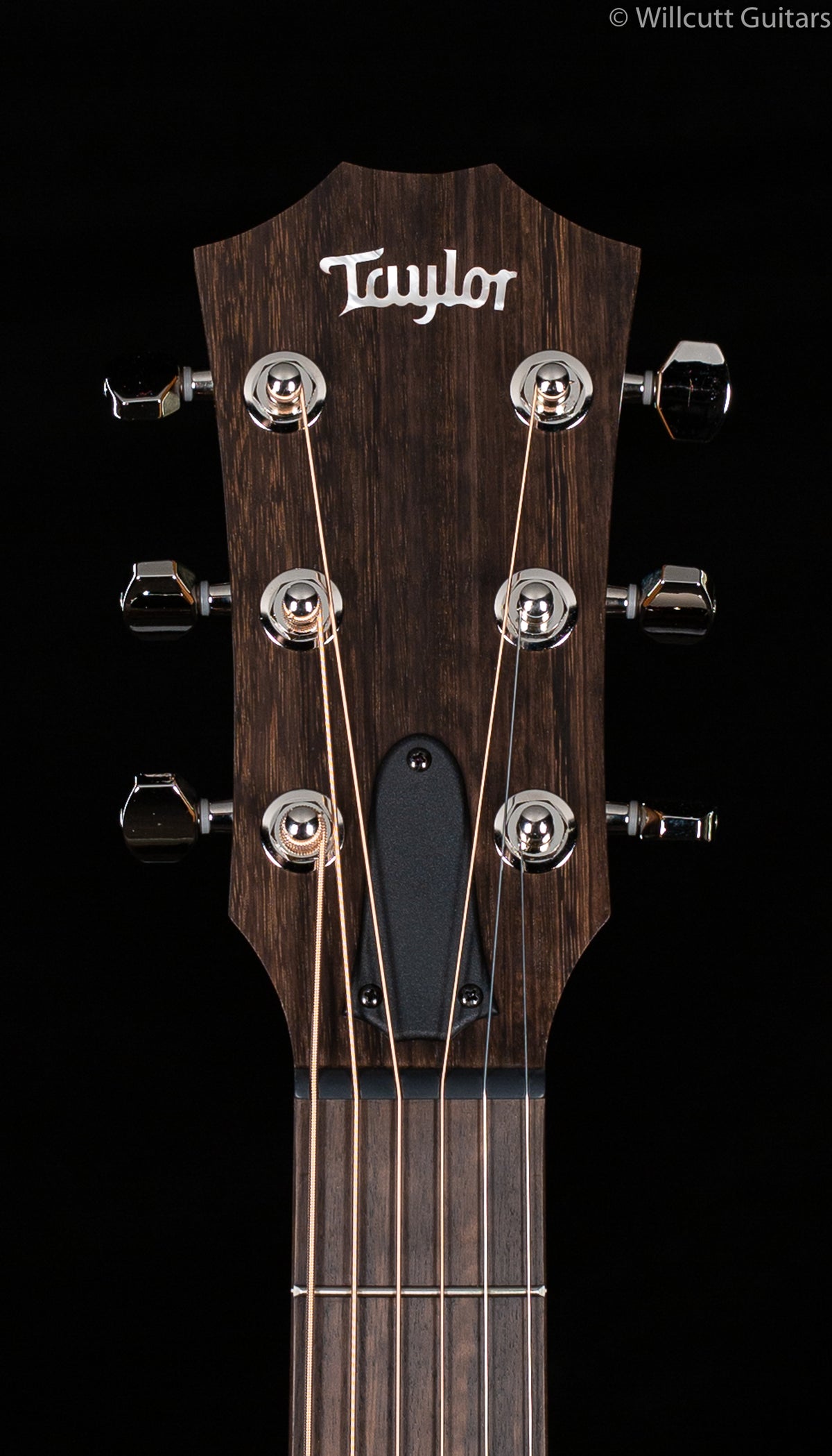 Taylor GTe Grand Theatre Urban Ash (121)