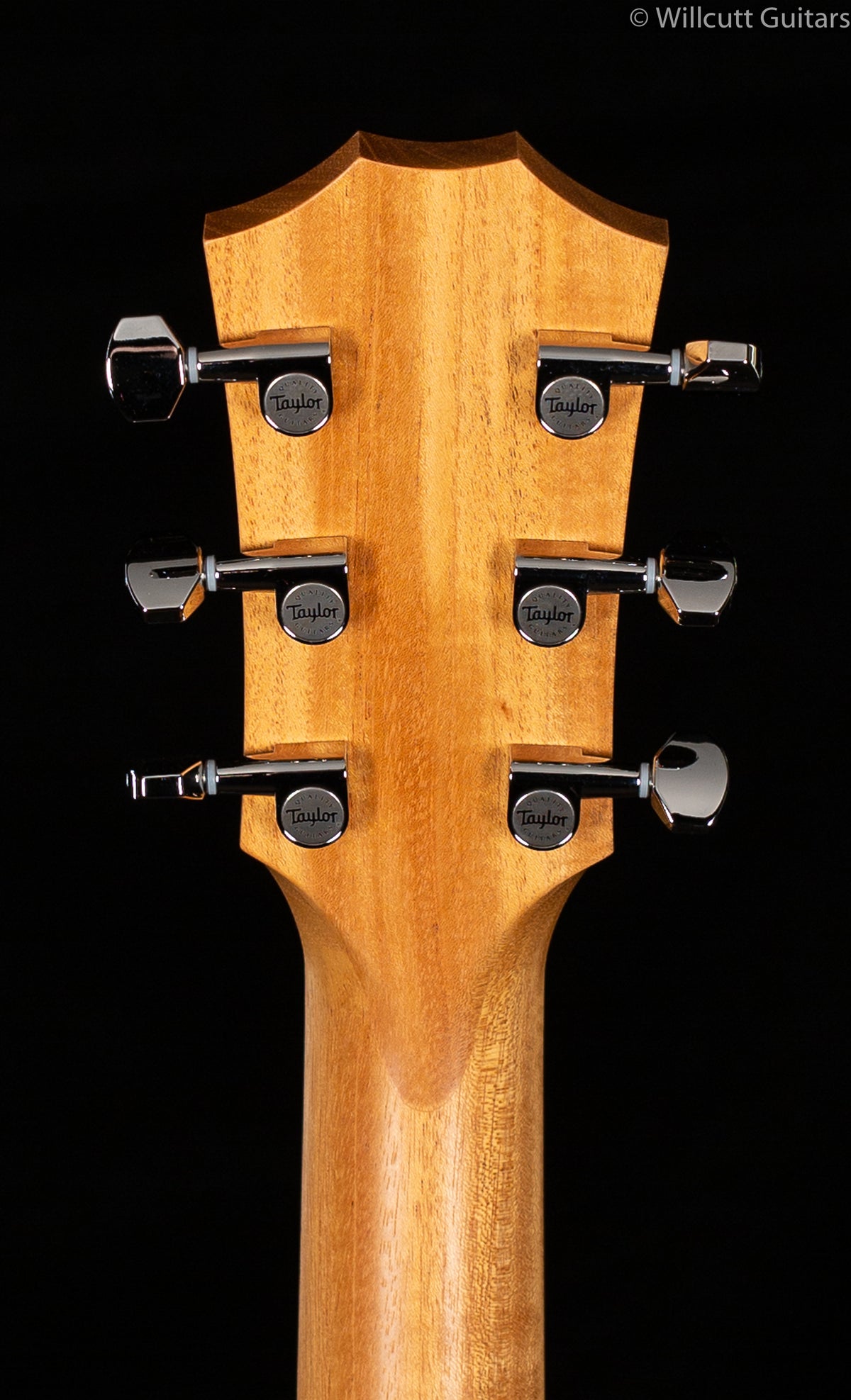 Taylor GTe Grand Theatre Urban Ash (121)