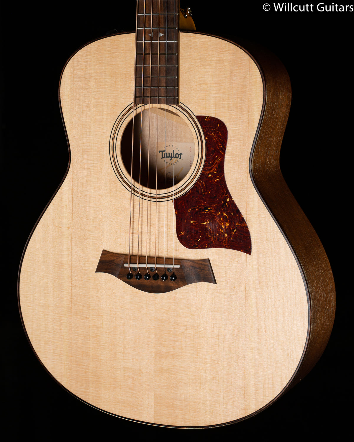 Taylor GTe Grand Theatre Urban Ash (121)