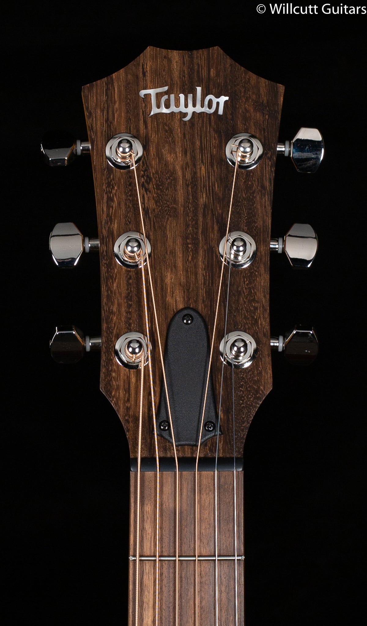 Taylor GTe Grand Theatre Urban Ash (121)