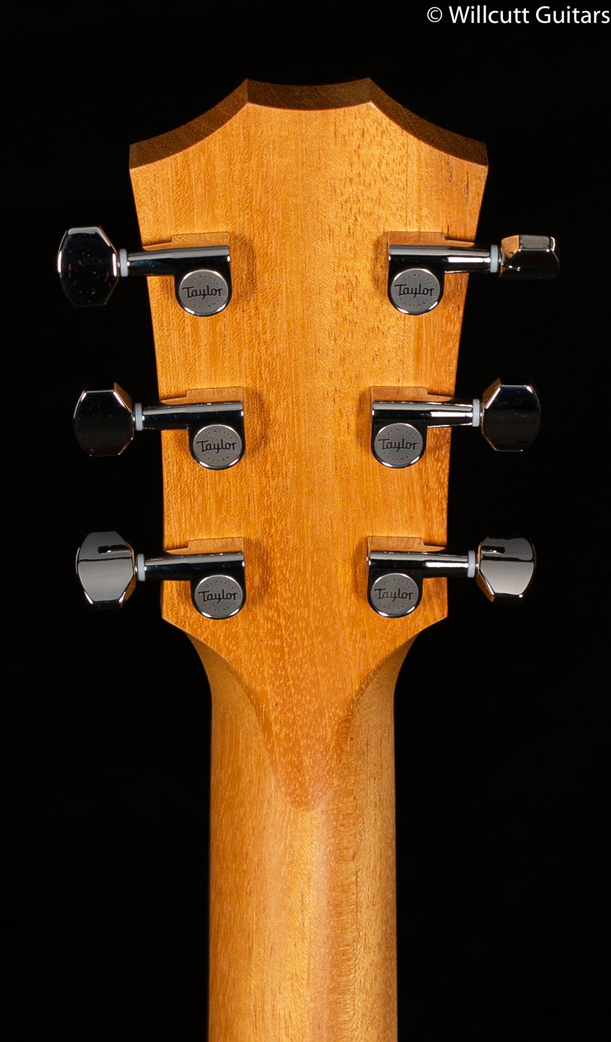 Taylor GTe Grand Theatre Urban Ash (121)